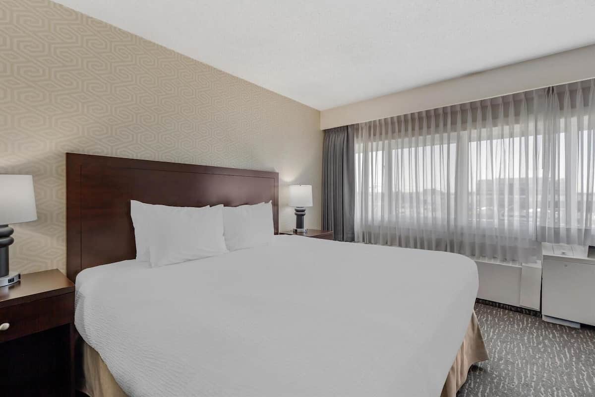 Premium bedding, down comforters, desk, laptop workspace