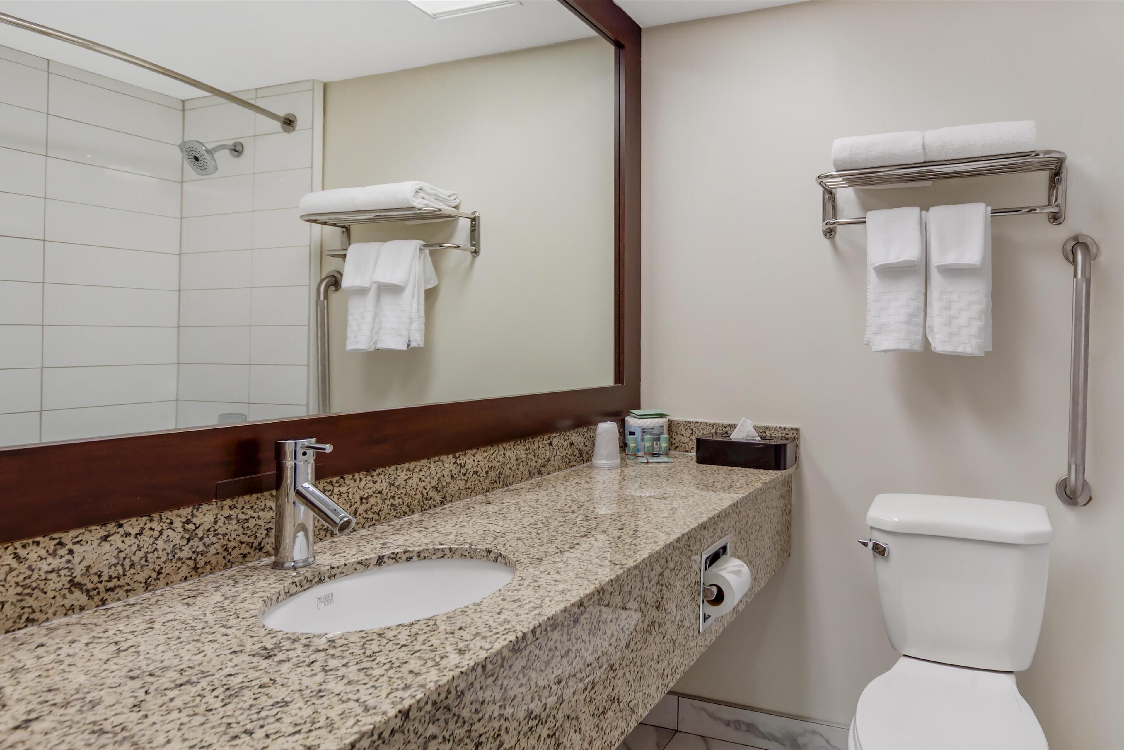 Un baño con lavamanos de granito, un espejo, inodoro y toalleros.