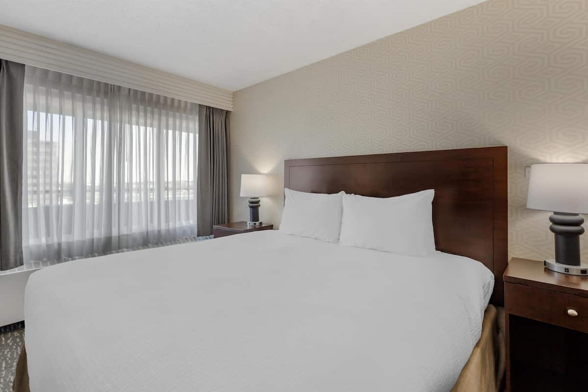 A hotel room with a large bed, two bedside tables with lamps, a window with sheer curtains, and a patterned wall.