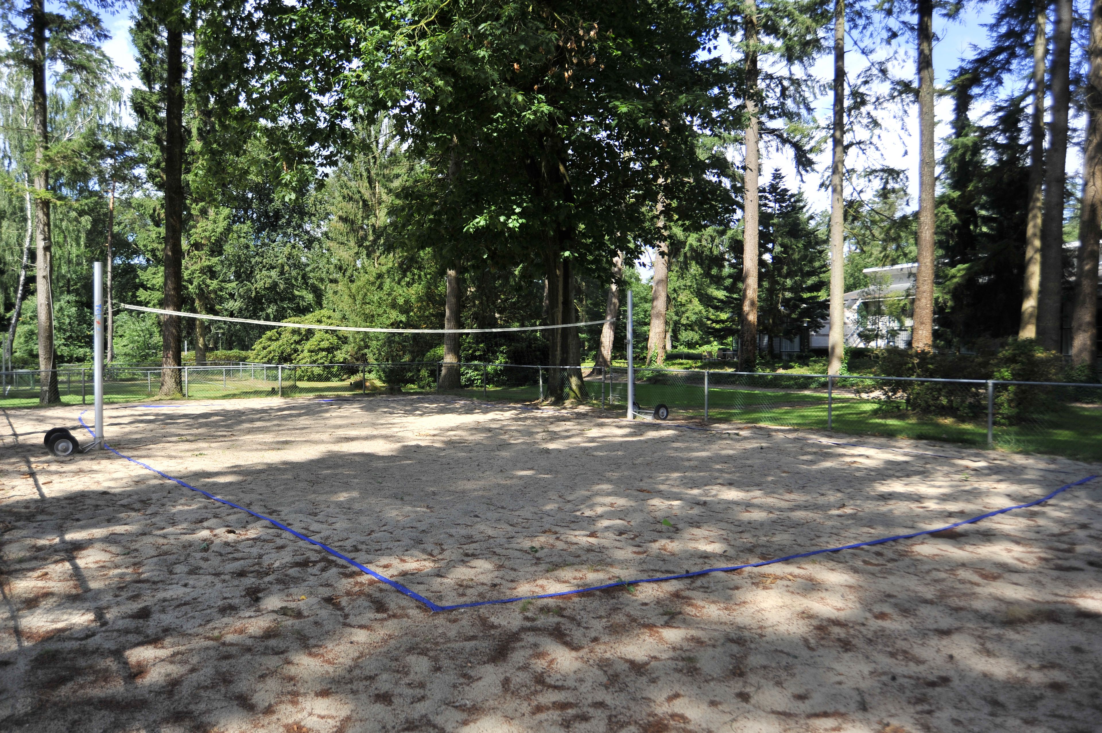 Ein Außenvolleyballfeld, umgeben von Bäumen.