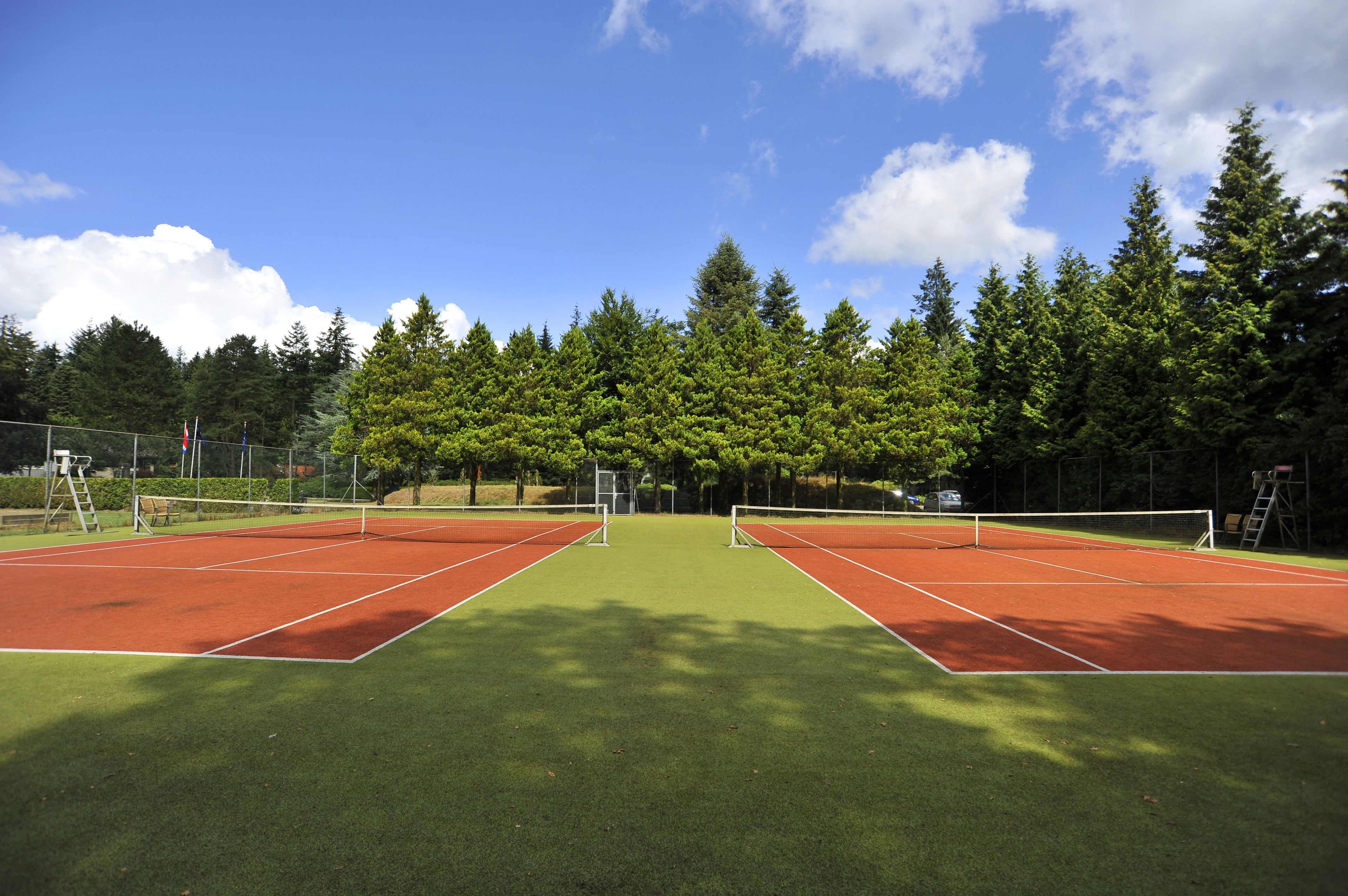 Een tennisbaan met een net in het midden, omringd door bomen en een heldere lucht.