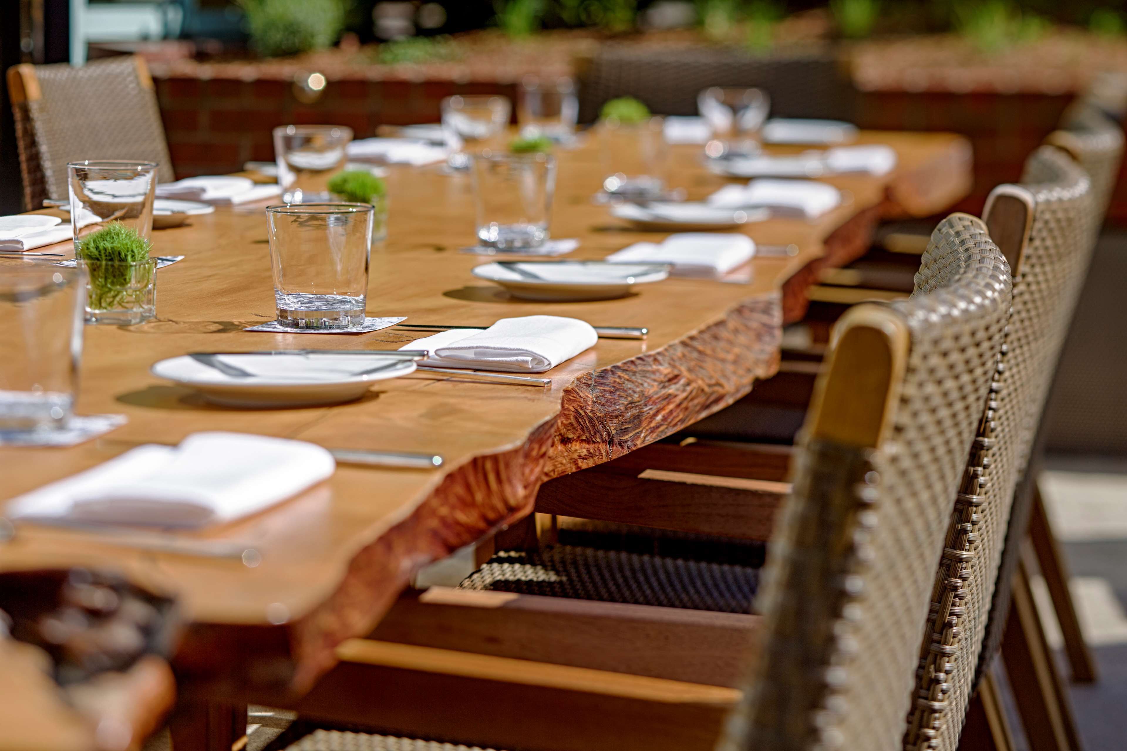 供應早餐、午餐和晚餐，美國料理，露天餐廳