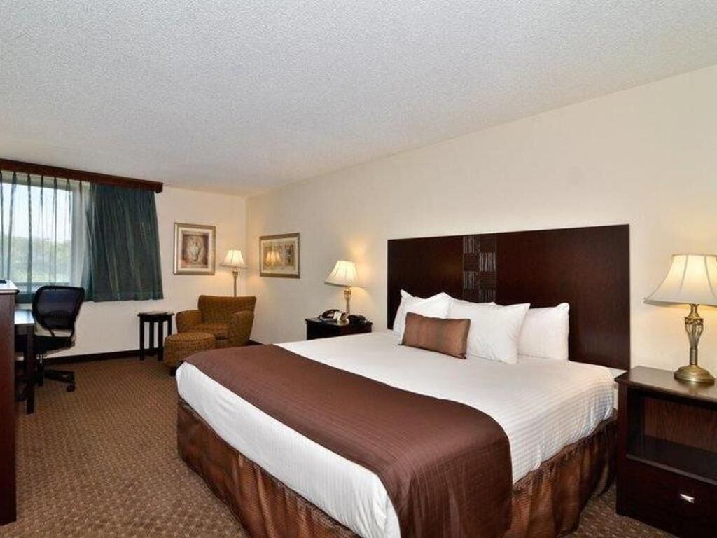 Hypo-allergenic bedding, down comforters, desk, blackout drapes