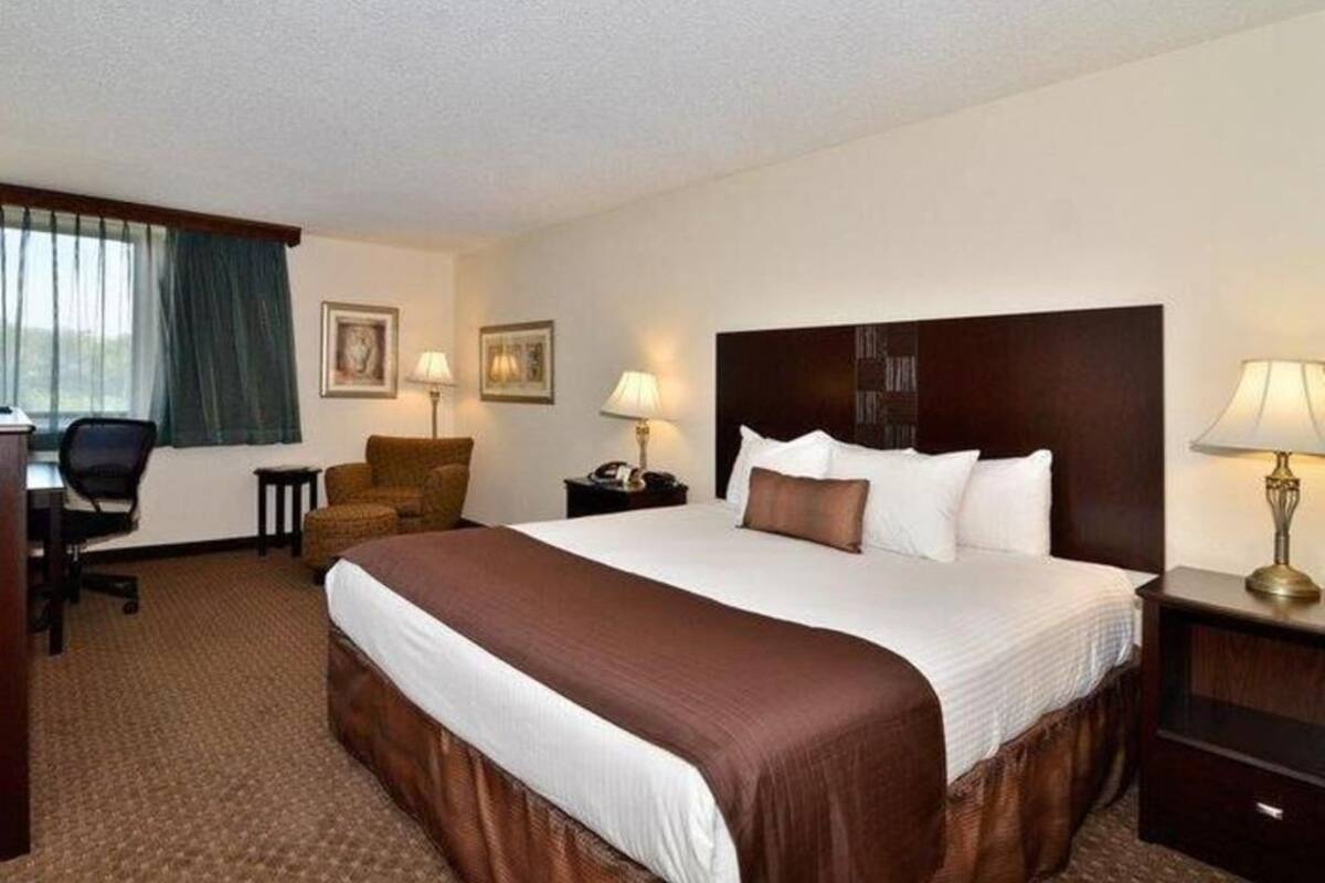 Hypo-allergenic bedding, down comforters, desk, blackout drapes