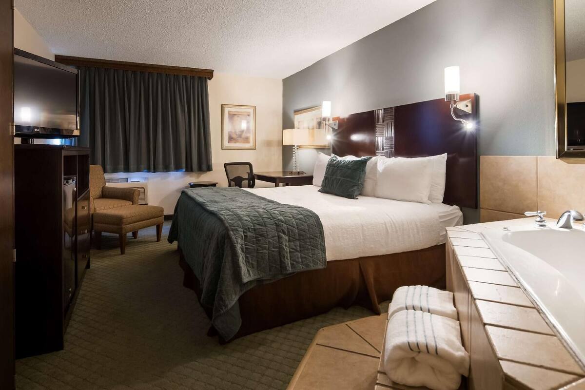 Hypo-allergenic bedding, down comforters, desk, blackout drapes