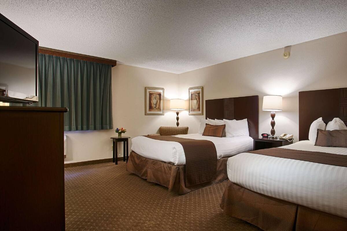 Hypo-allergenic bedding, down comforters, desk, blackout drapes