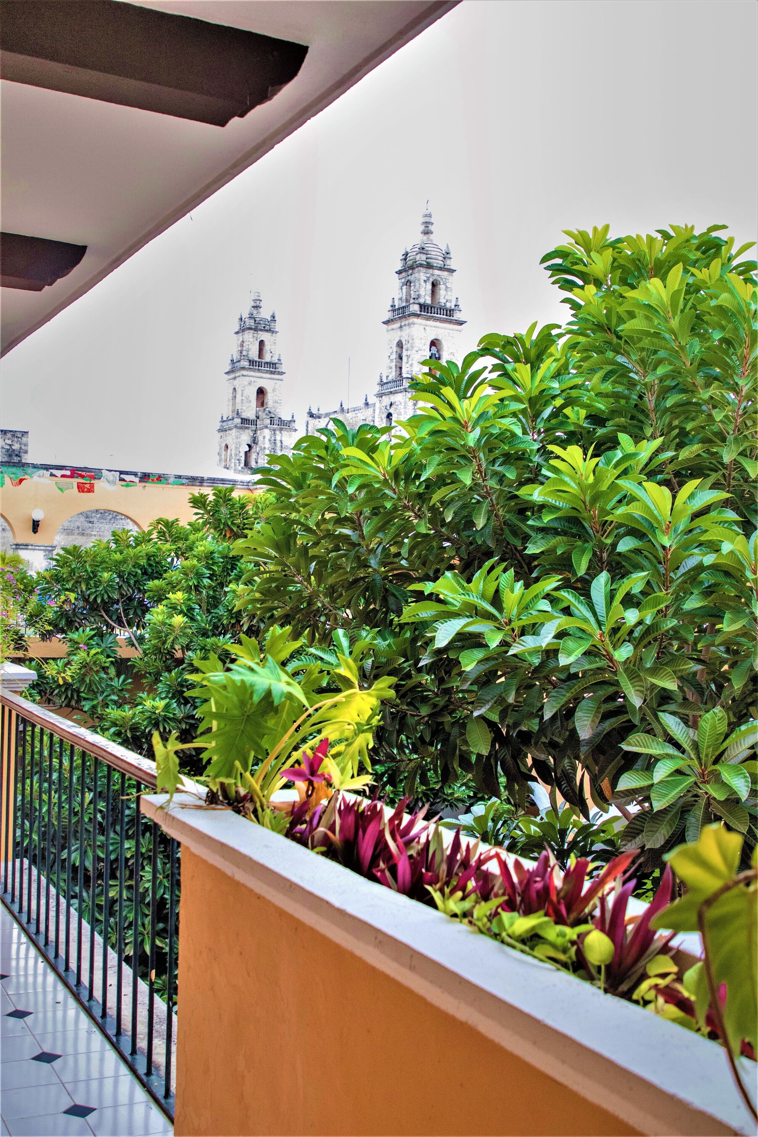 Vista desde la propiedad