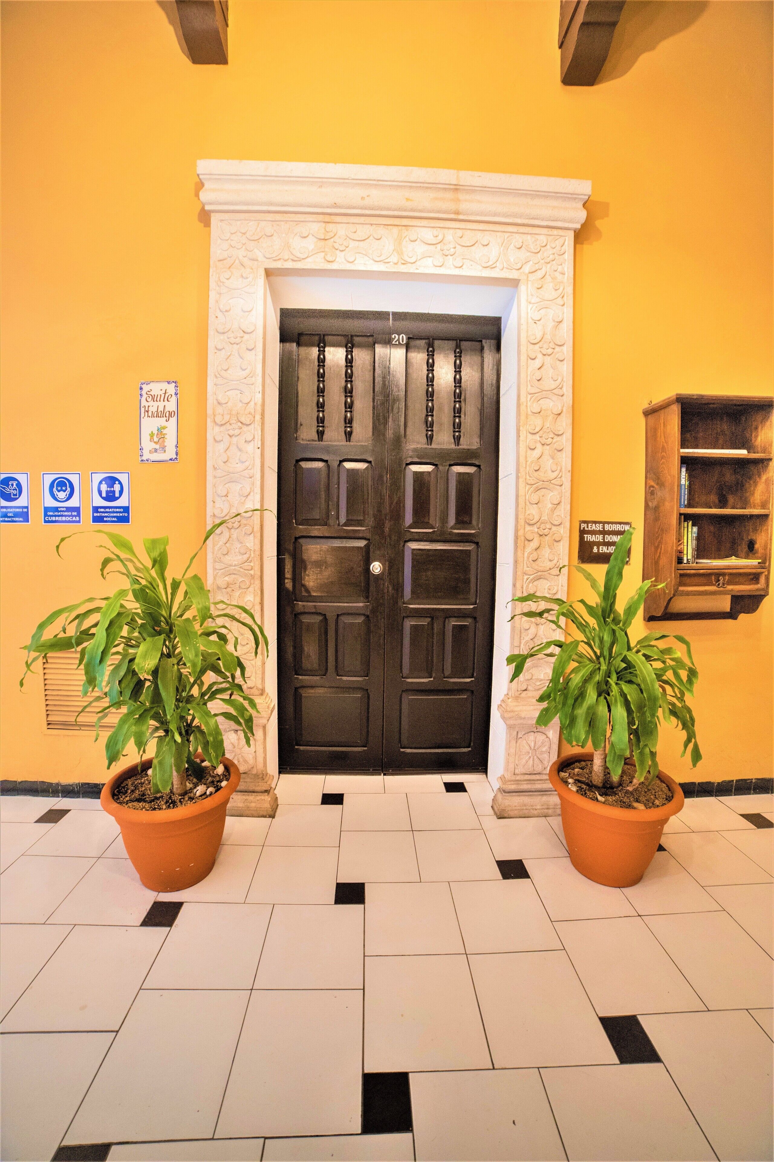 Photo - Hotel Caribe Merida Yucatan