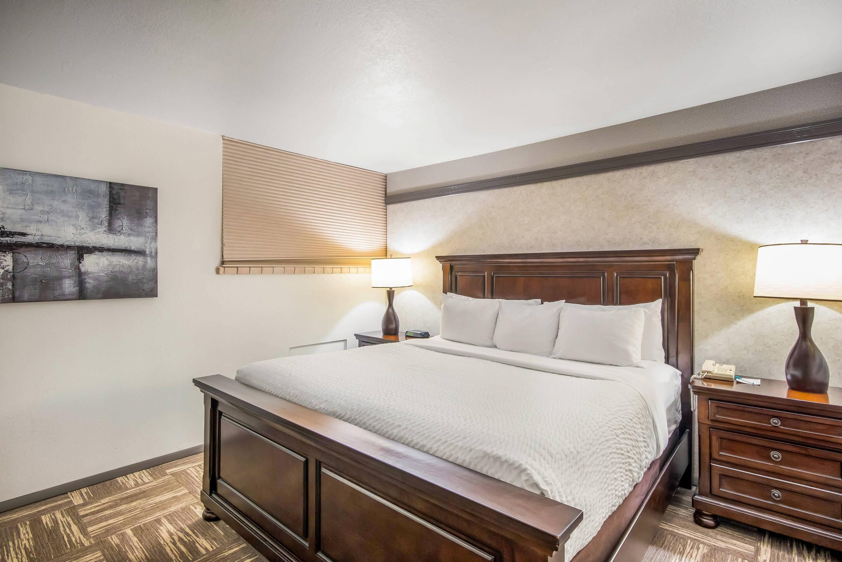 Une chambre d’hôtel avec un grand lit, deux tables de chevet, une œuvre d’art accrochée au mur, une fenêtre avec des stores et une moquette à motifs.