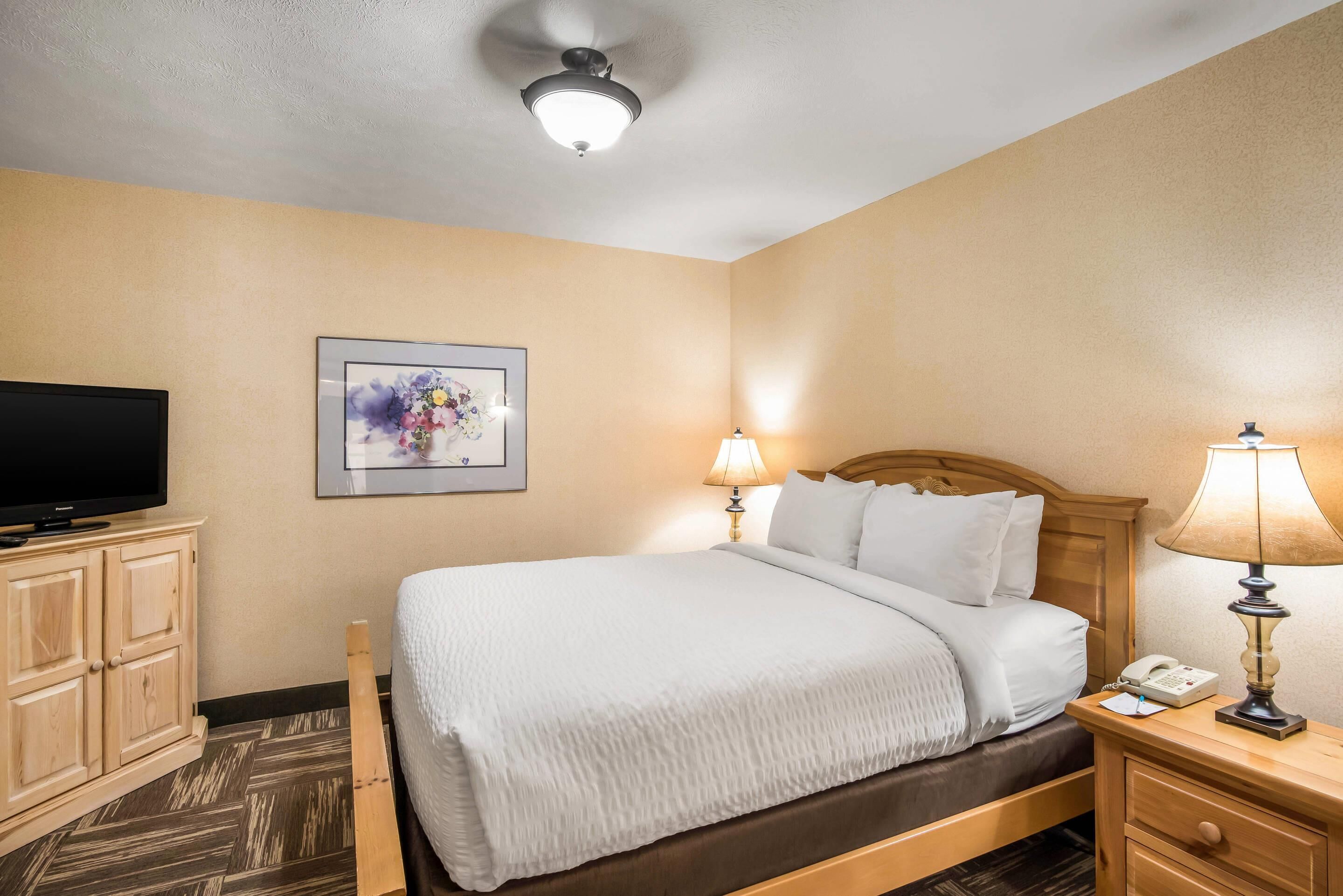 A hotel room with a bed, bedside lamps, a television, a framed picture, and a wooden nightstand.