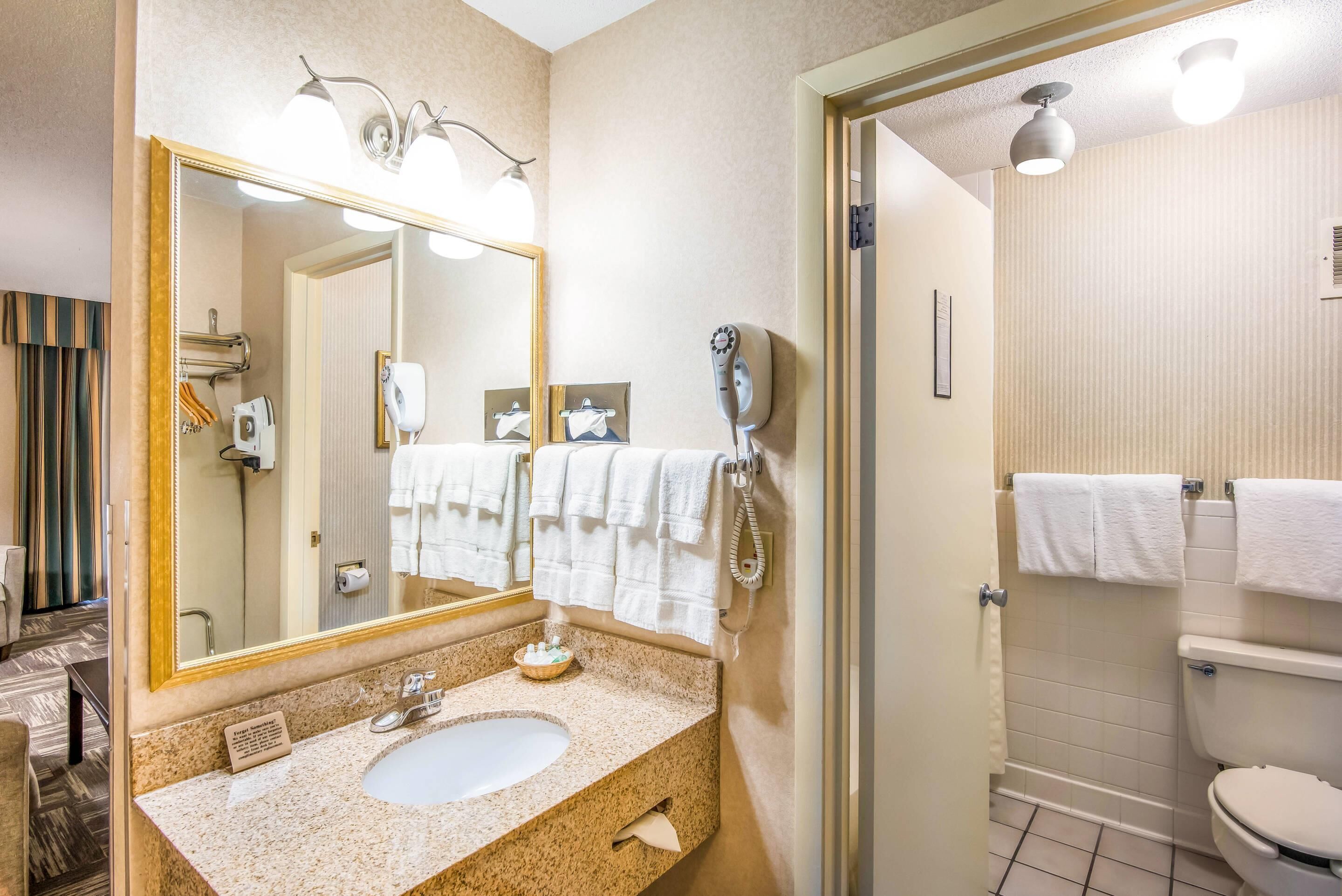 A hotel bathroom with a sink, mirror, towel rack, and toilet.