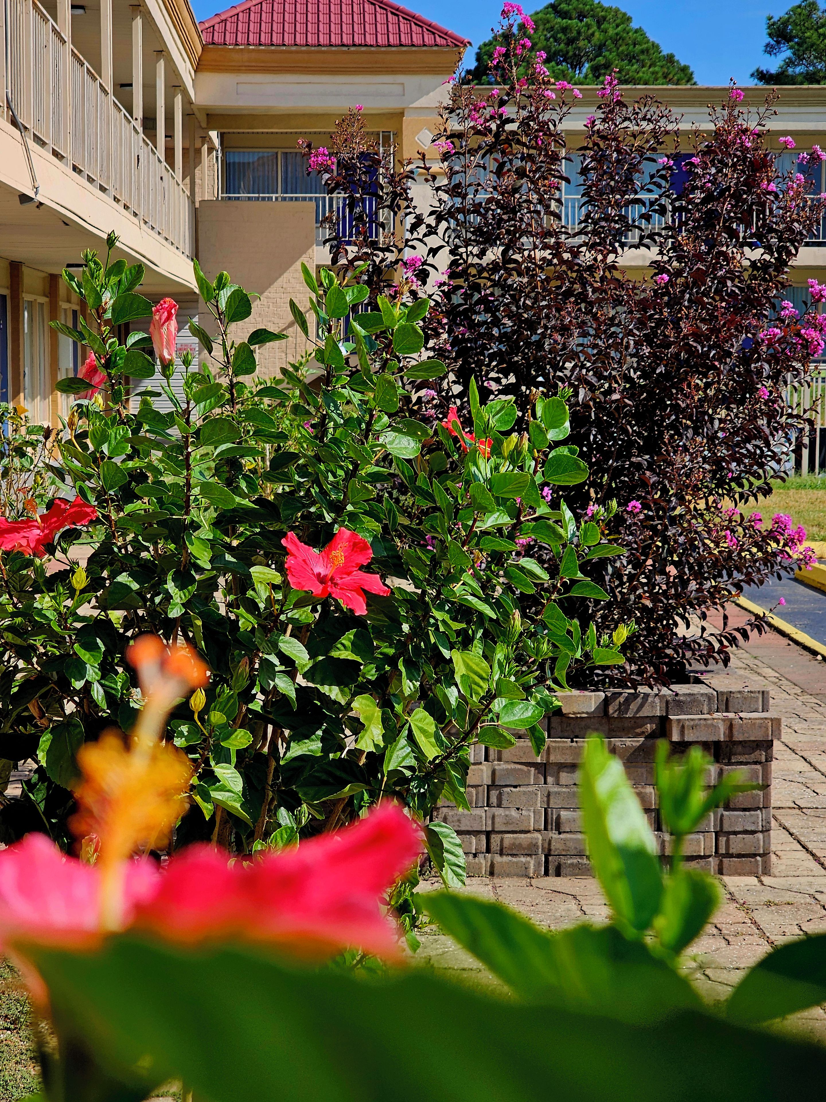 Un edificio de techo rojo, rodeado de abundante follaje y plantas florecientes.