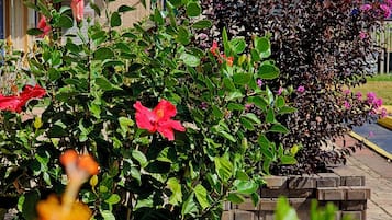 Um edifício com telhado vermelho, rodeado por vegetação exuberante e plantas floridas.