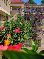 Un edificio de techo rojo, rodeado de abundante follaje y plantas florecientes.