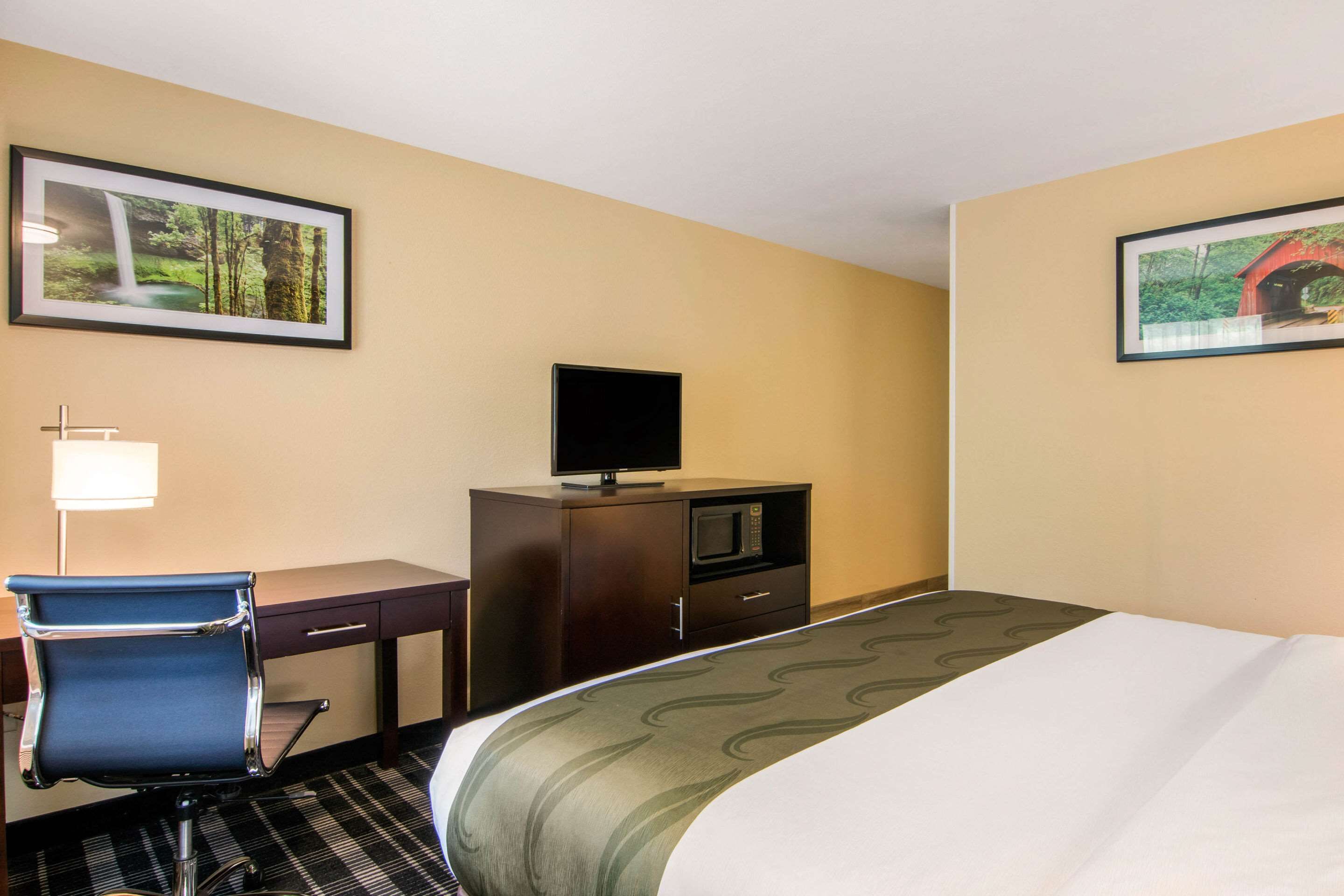 A hotel room with a bed, a desk with a chair, a television, a microwave, and two framed pictures on the walls.