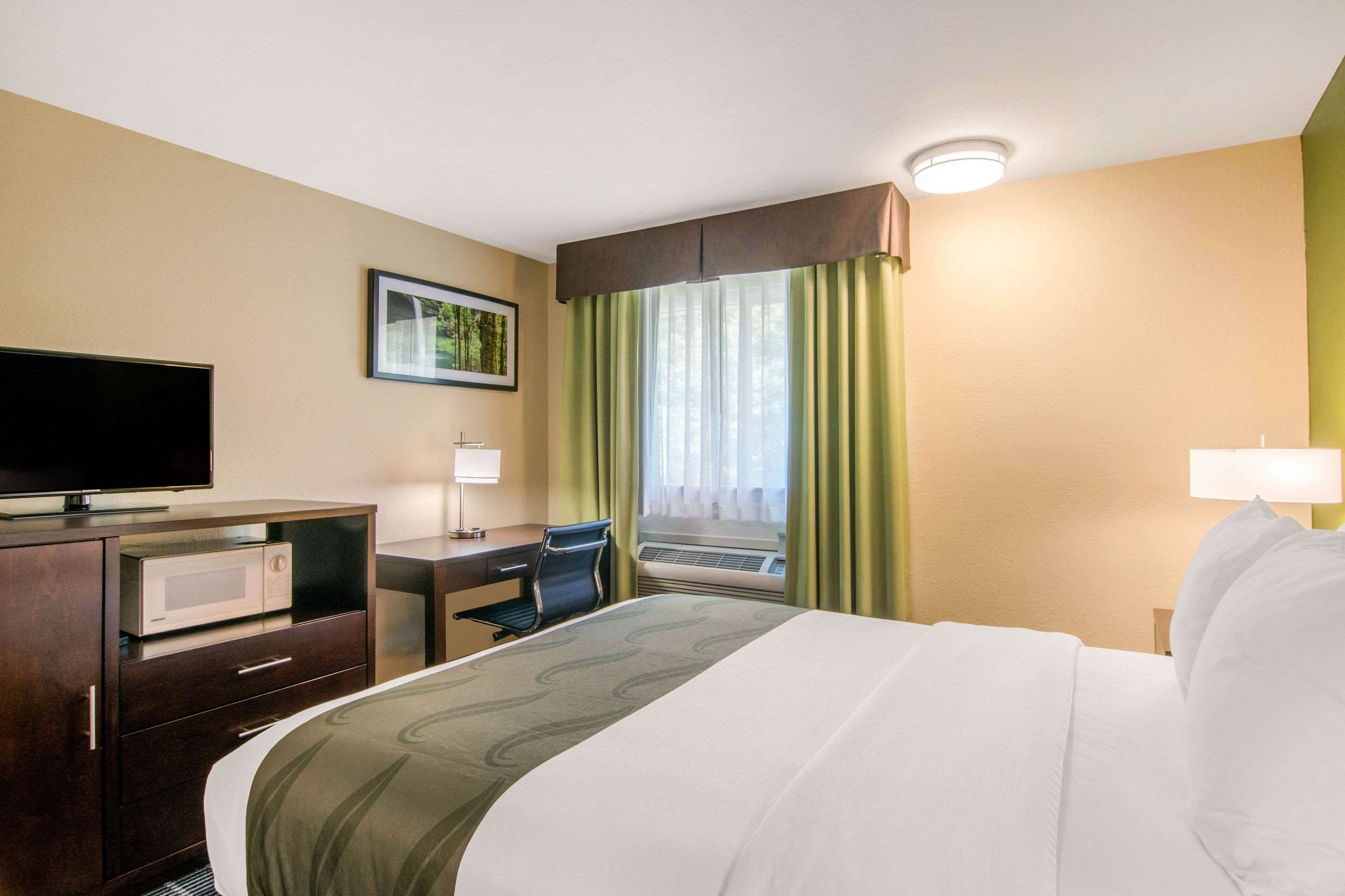 Habitación de hotel con cama, escritorio, televisión, microondas, ventana con cortinas e imagen en la pared.