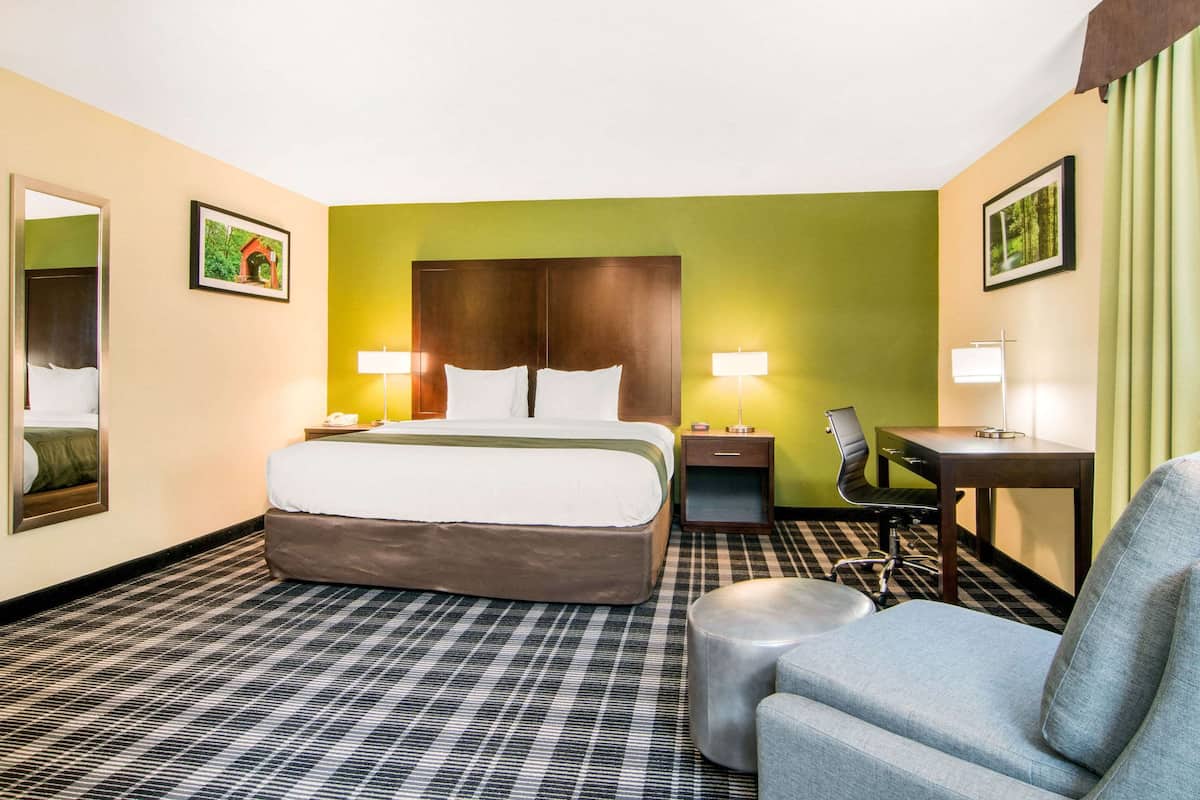 Suite, 1 King Bed, Non Smoking (Efficiency) | Premium bedding, desk, blackout curtains, iron/ironing board