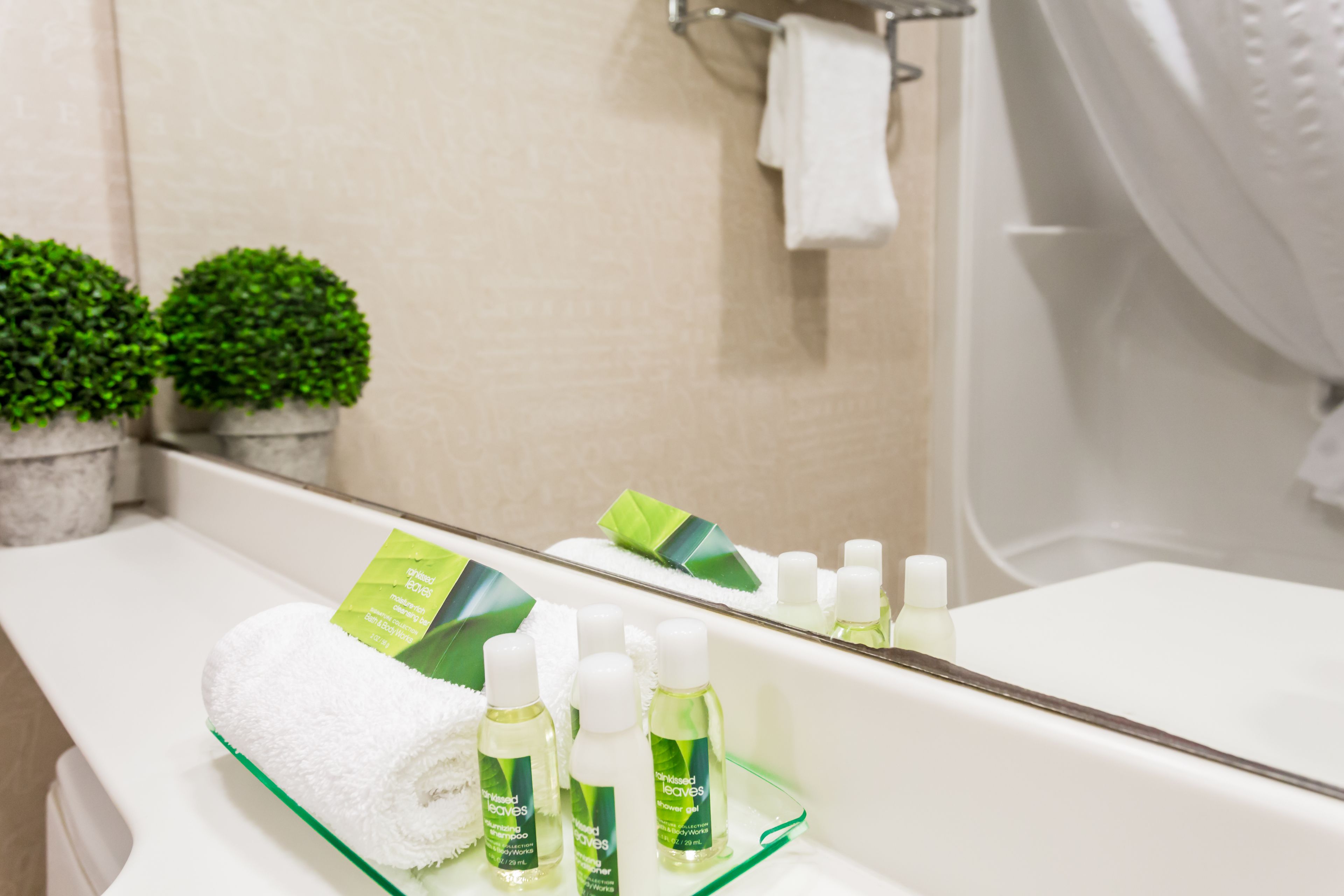 deluxe room, 1 king bed, non smoking (club) | bathroom | combined shower/bathtub, eco-friendly toiletries, hair dryer, towels