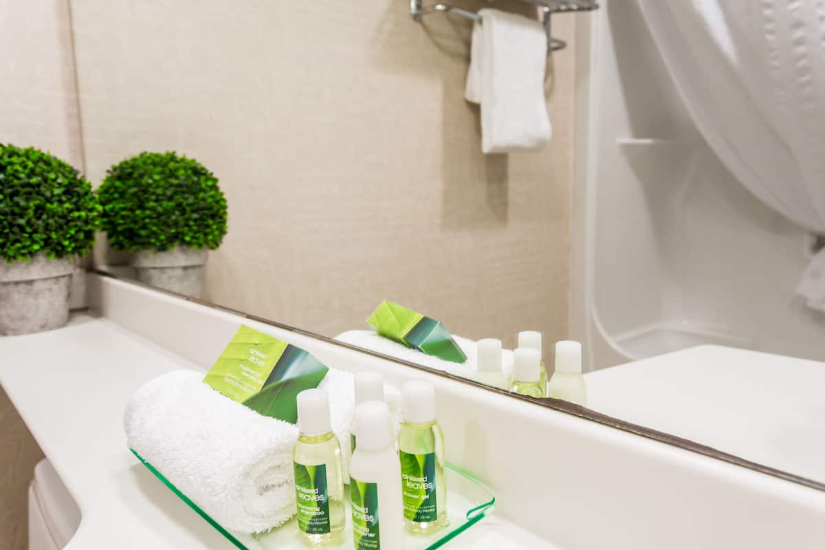 deluxe room, 1 king bed, non smoking (club) | bathroom | combined shower/bathtub, eco-friendly toiletries, hair dryer, towels