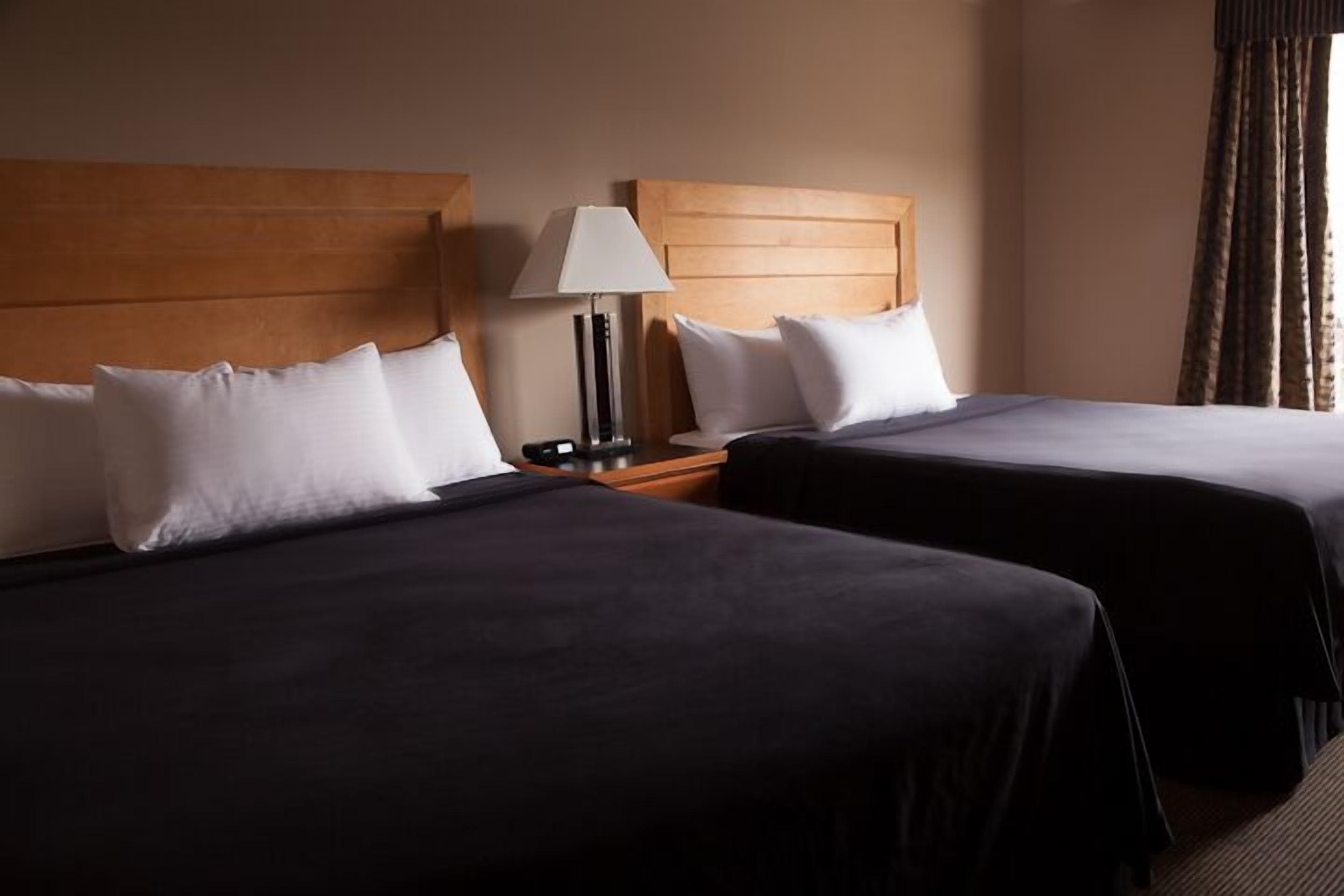 Ein Hotelzimmer mit zwei Betten, jedes mit weißer und dunkler Bettwäsche, einem Holzkopfstück, einem Nachttisch mit Lampe und einem Fenster mit Vorhängen.