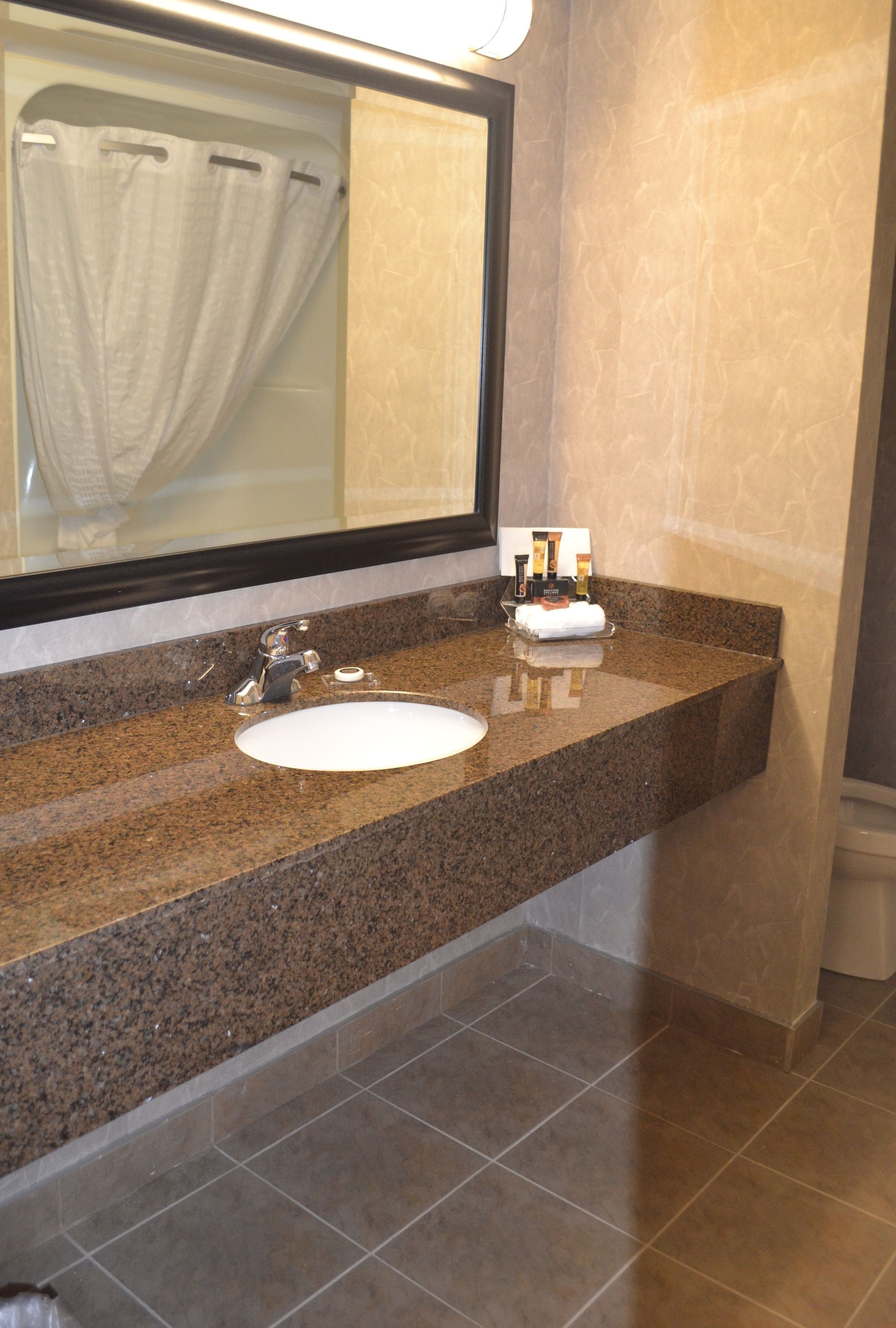 Foto - Royal Hotel West Edmonton, Trademark Collection by Wyndham