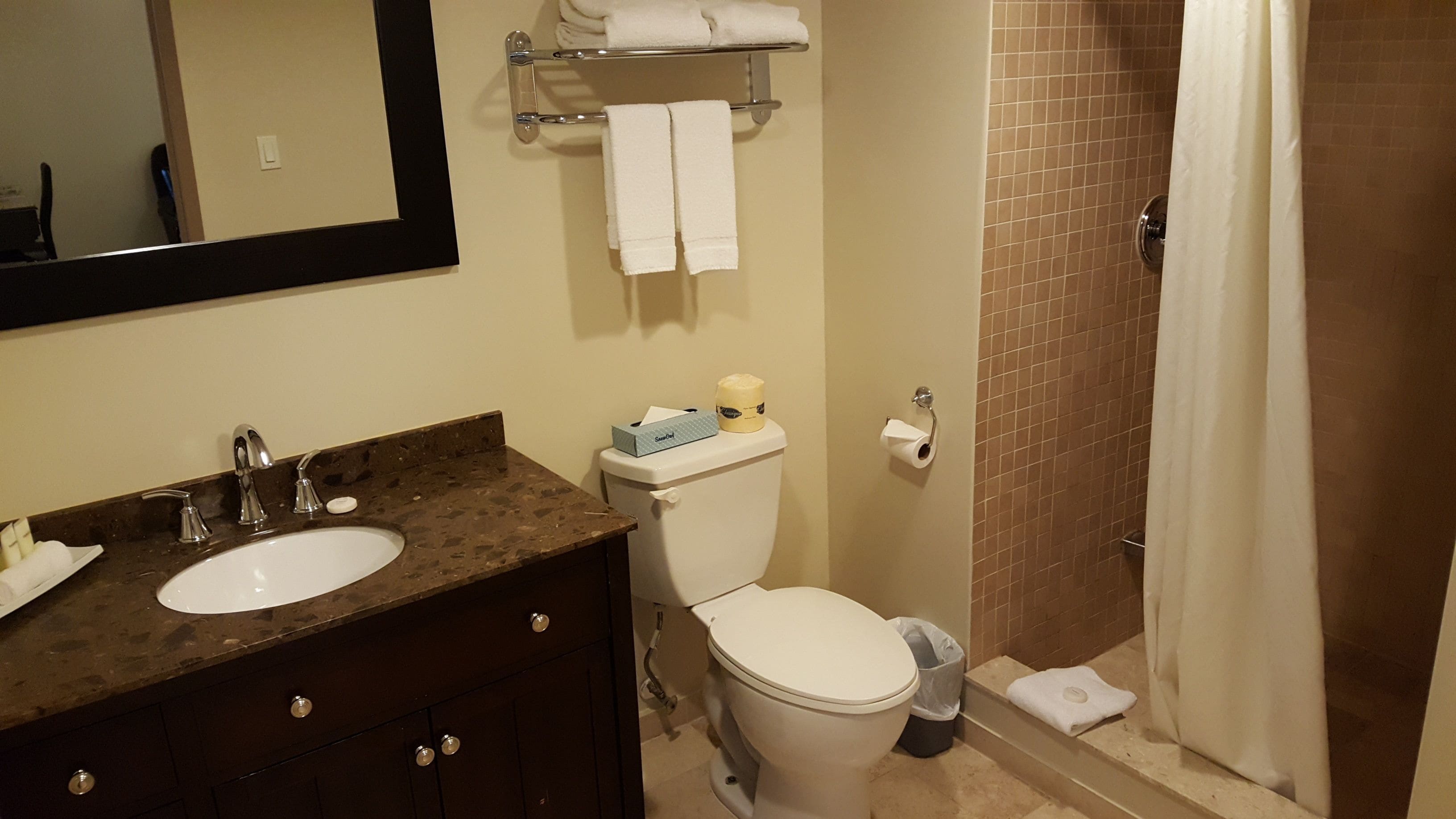 Un baño con lavamanos, inodoro y ducha.