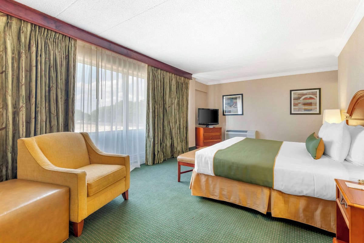 Suite, 1 King-Bett, Nichtraucher, Kühlschrank und Mikrowelle (Penthouse;Oversized Room;Sofabed)
