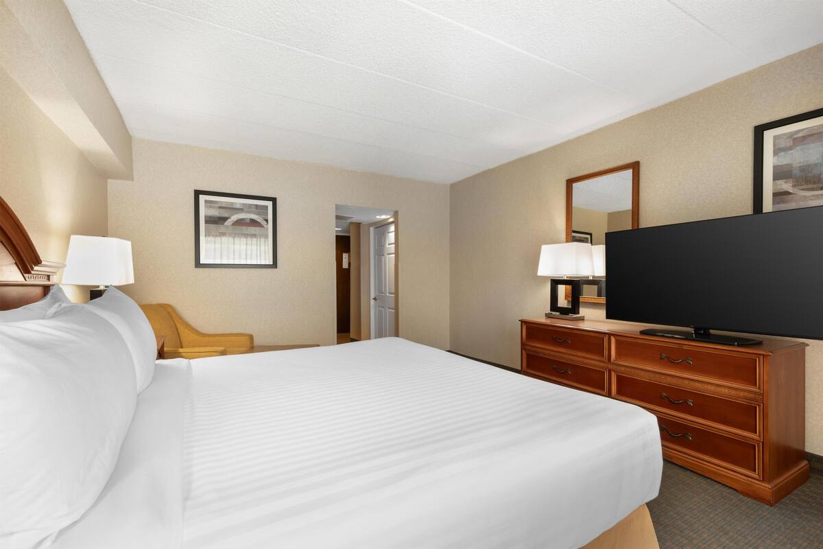 Suite, 1 King Bed, Non Smoking, Refrigerator & Microwave (with Sofabed) | Pillowtop beds, in-room safe, desk, laptop workspace