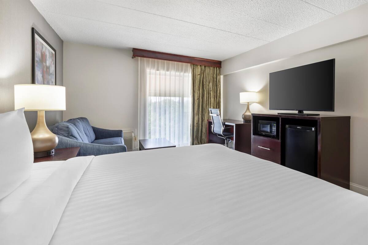 Standard Room, 1 King Bed, Non Smoking, Refrigerator & Microwave (with Sofabed) | Pillowtop beds, in-room safe, desk, laptop workspace