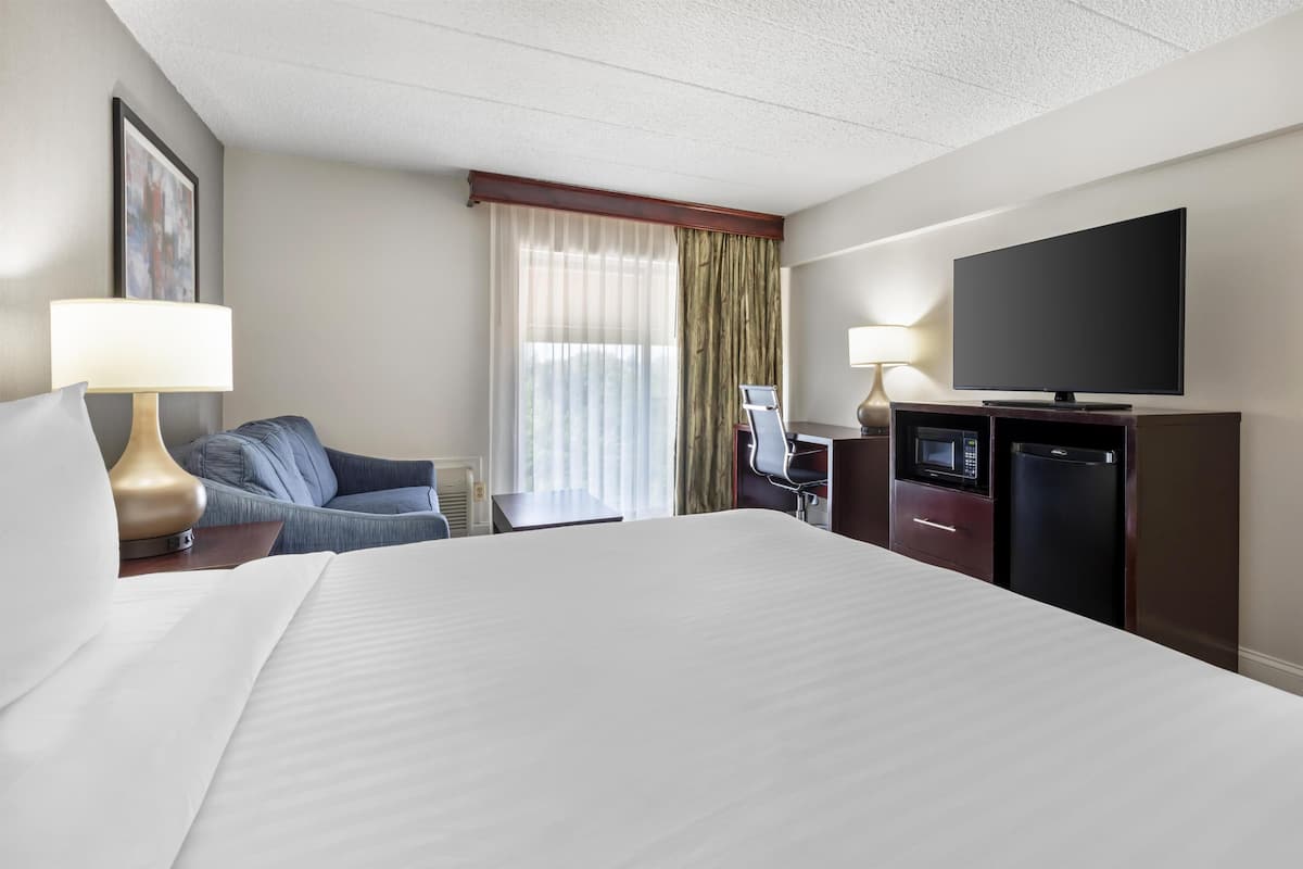 Standard Room, 1 King Bed, Non Smoking, Refrigerator & Microwave (with Sofabed)
