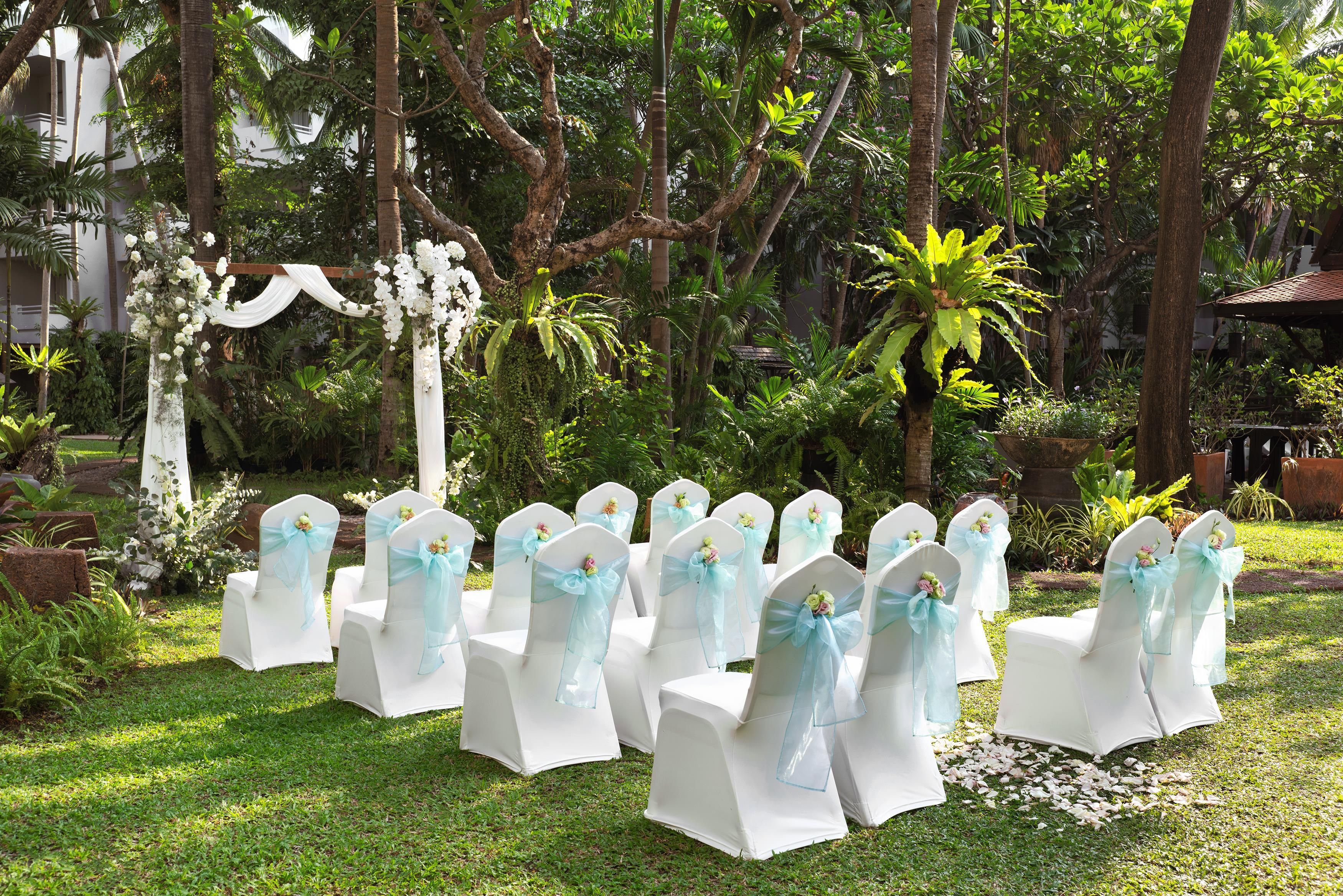 A row of white chairs with light blue sashes, arranged outdoors with greenery and a white structure in the background.
