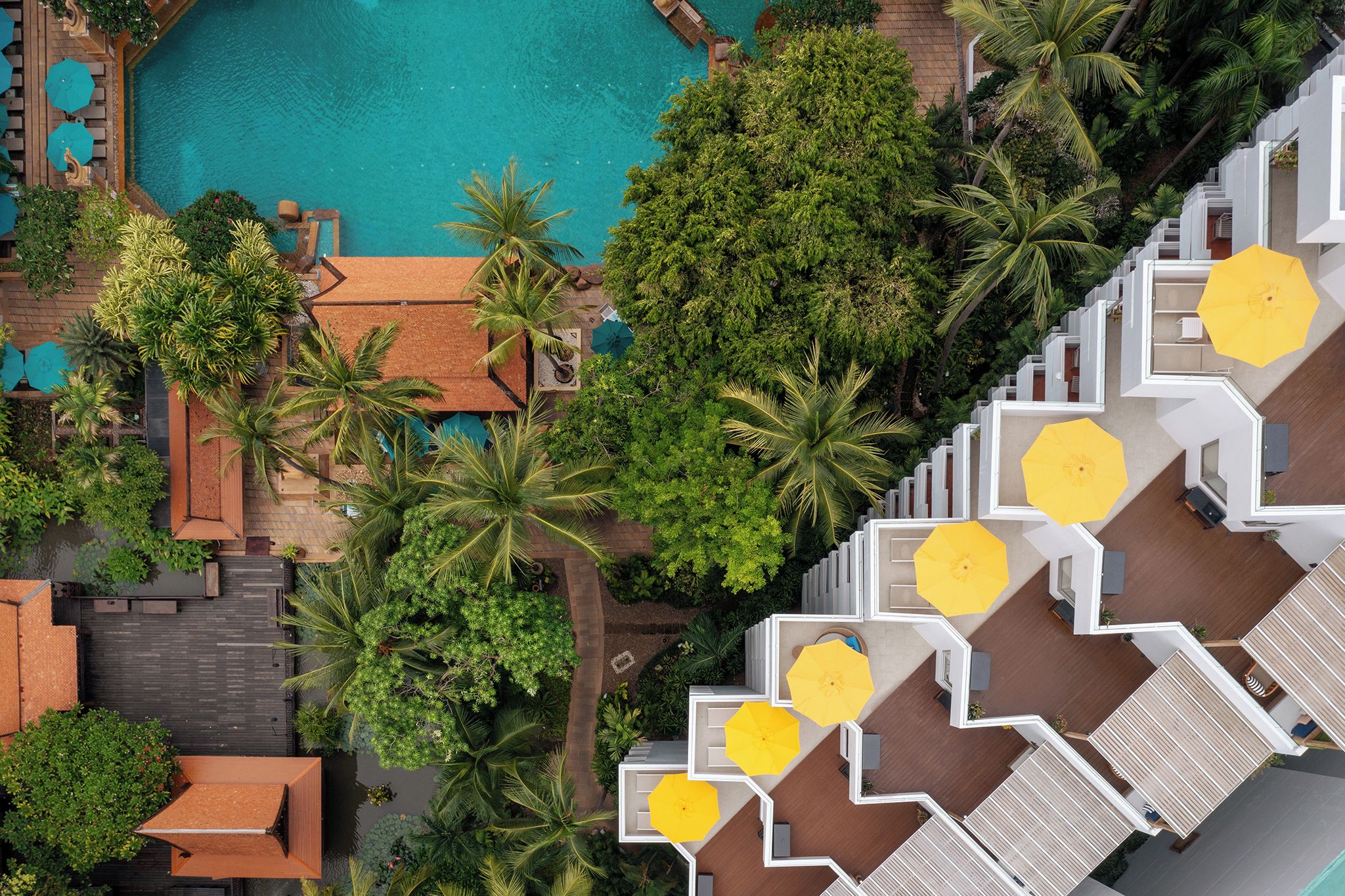 Vista aérea de un resort con piscina, palmeras y zonas de estar al aire libre.