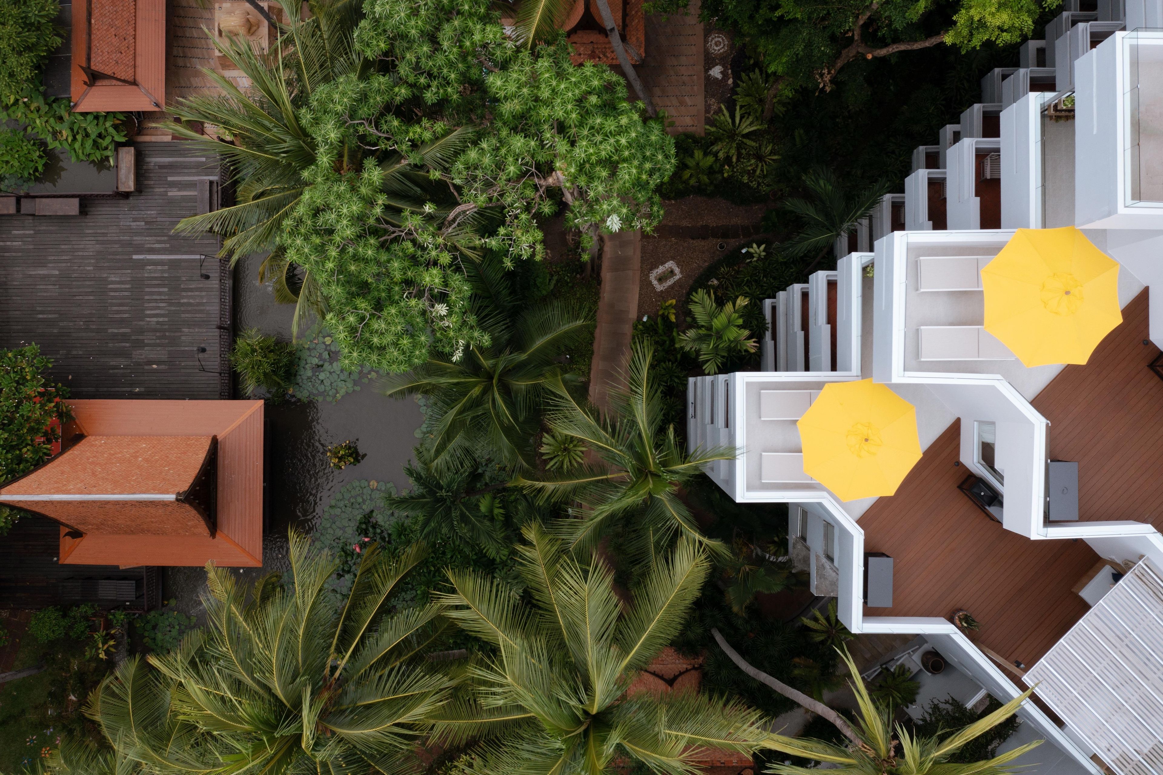 A modern building with a rooftop terrace, surrounded by lush greenery and palm trees.