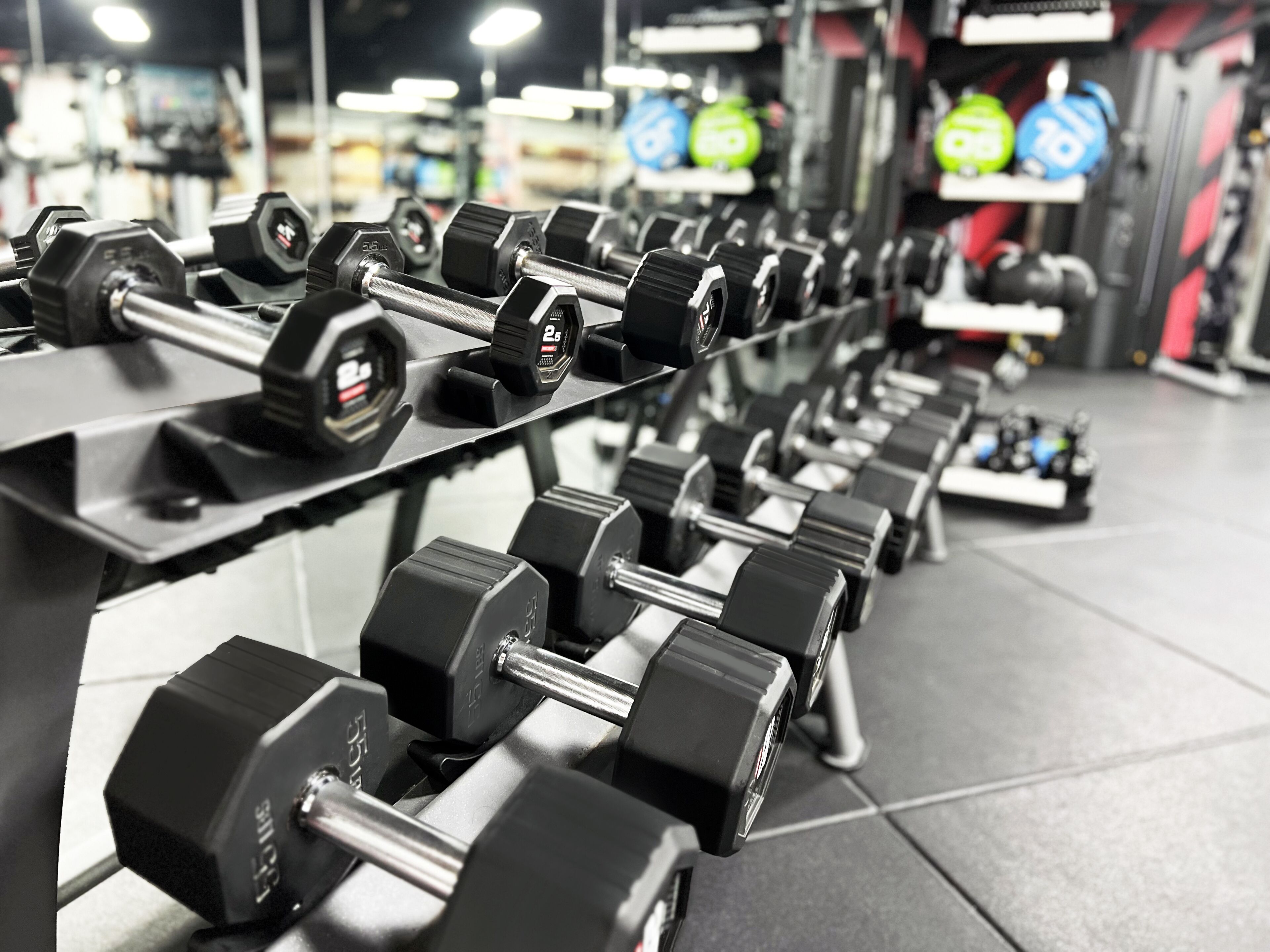 Eine Reihe schwarzer Kurzhanteln auf einem Gestell in einem Fitnessstudio.