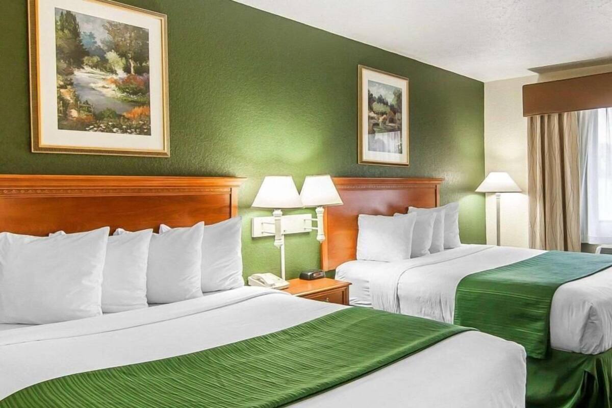 Habitación de hotel con dos camas, paredes verdes y dos cuadros de paisajes.