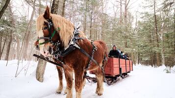 Uma charrete puxada por cavalos em uma floresta coberta de neve.