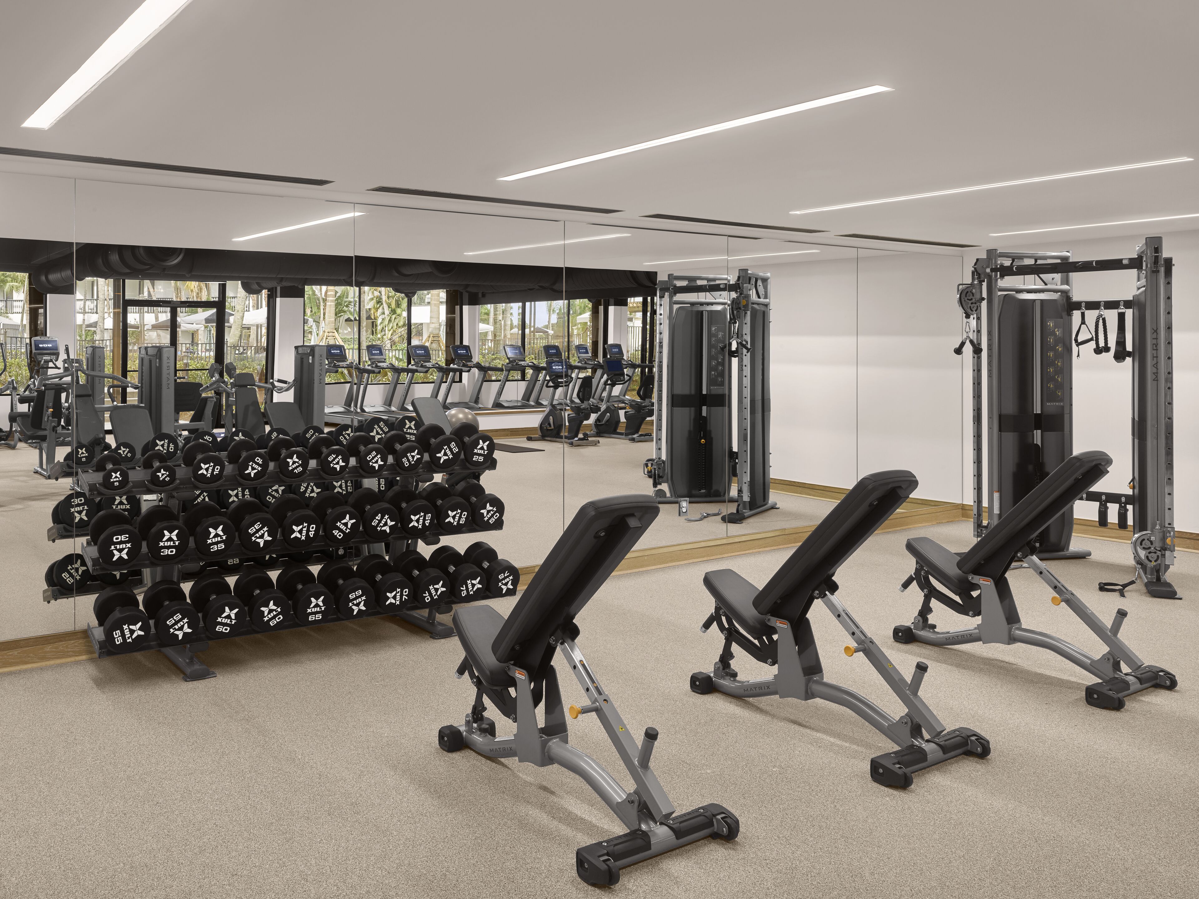 A gym with various exercise equipment, including dumbbells, treadmills, and weight machines.