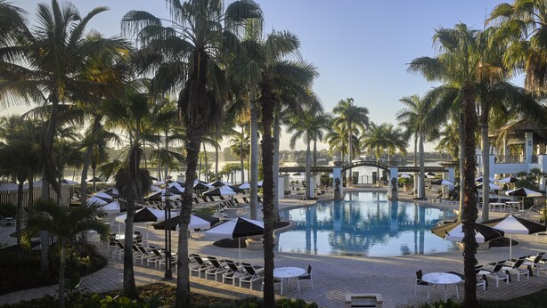 A resort pool area with lounge chairs and umbrellas, surrounded by palm trees. - PGA National Resort  (Palm Beach Gardens)