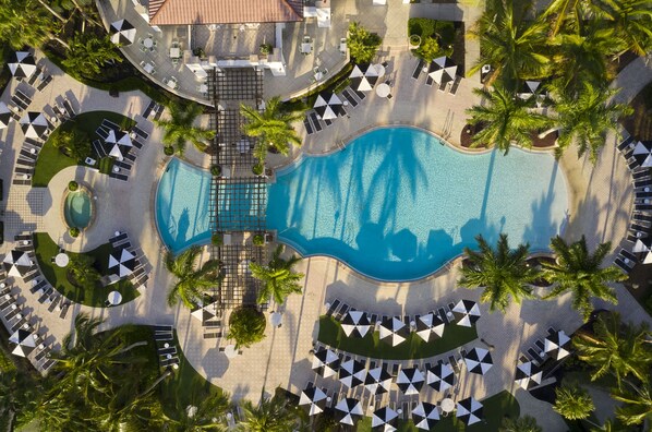 Relax by the central pool surrounded by lush greenery and palm trees.
