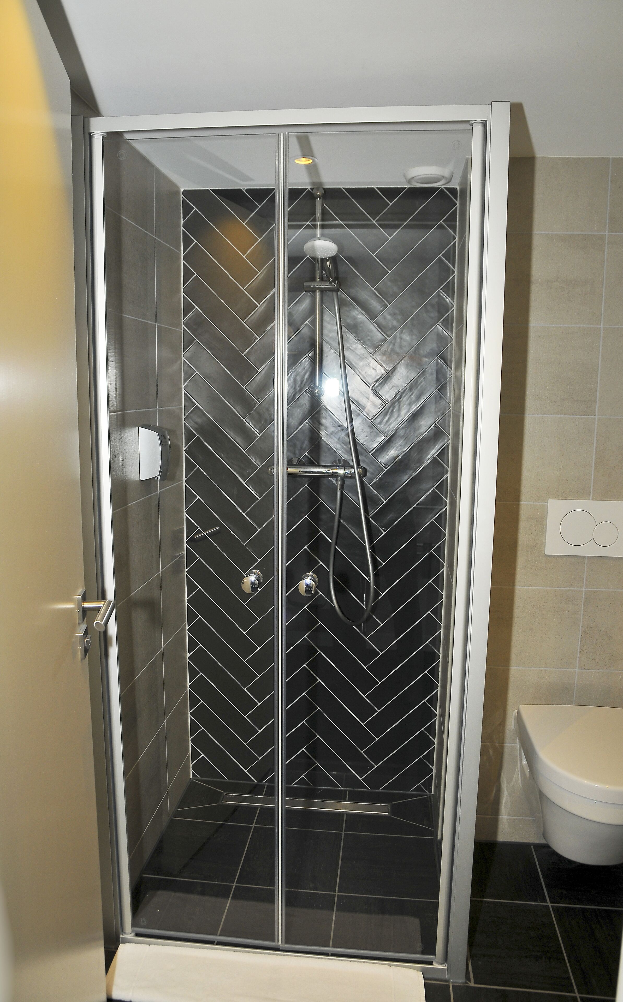 A walk-in shower with a glass door, black herringbone tile walls, and a white toilet in the adjacent bathroom.
