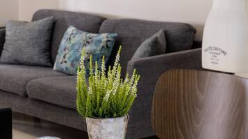 Un salon avec un canapé gris, une plante en pot, un magazine et une table en bois.