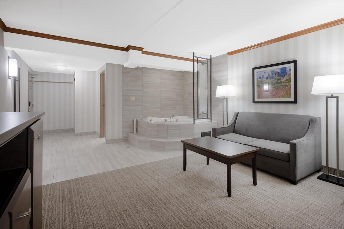 Standard Room, 1 King Bed, Non Smoking, Jetted Tub | Laptop workspace, blackout drapes, iron/ironing board, cribs (free)