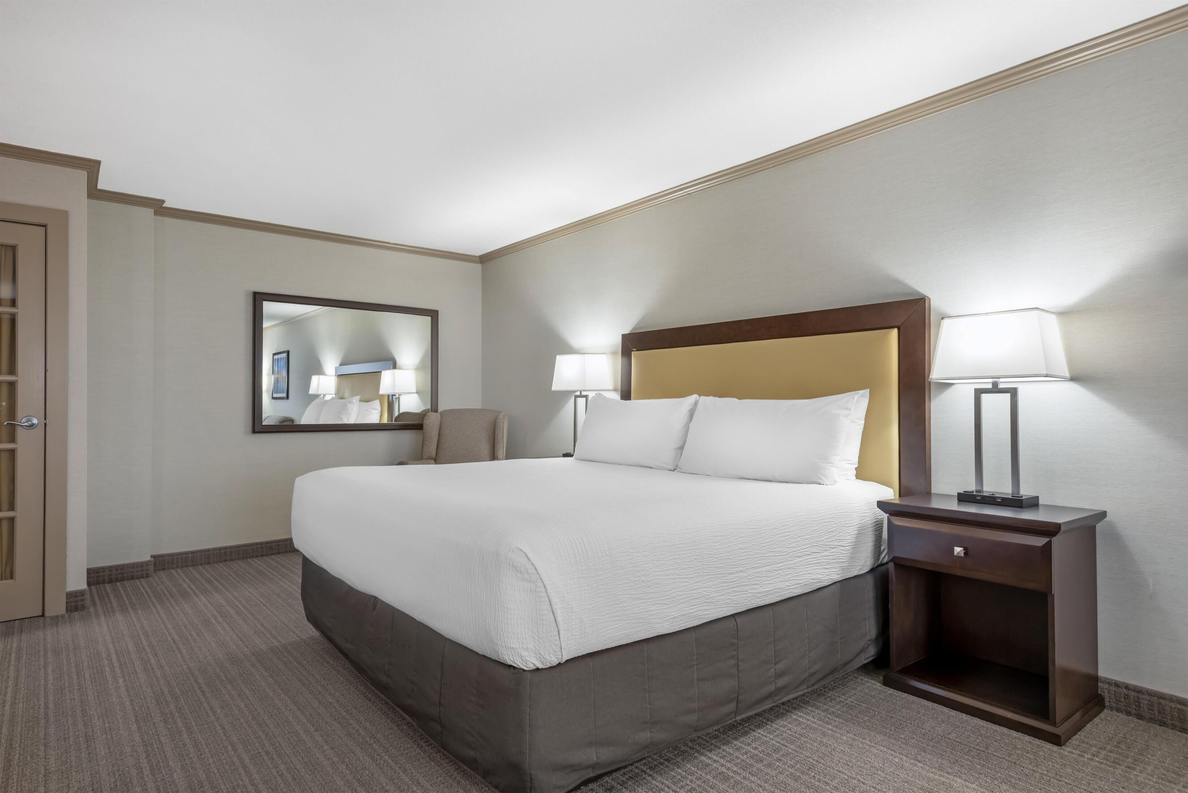 Standard Room, 1 King Bed, Non Smoking, Refrigerator & Microwave