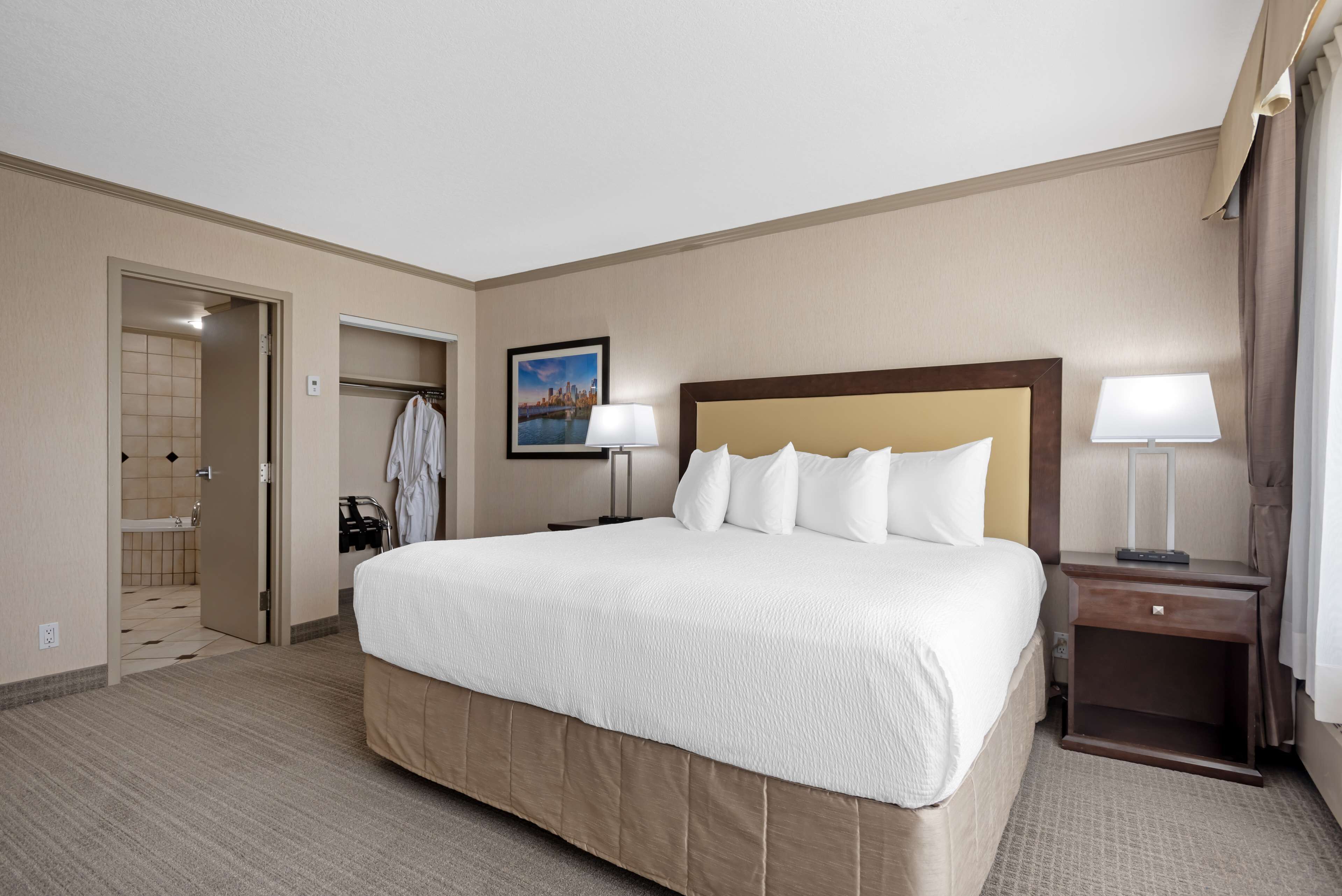 Suite, 1 King Bed, Non Smoking, Jetted Tub (with Sofabed)