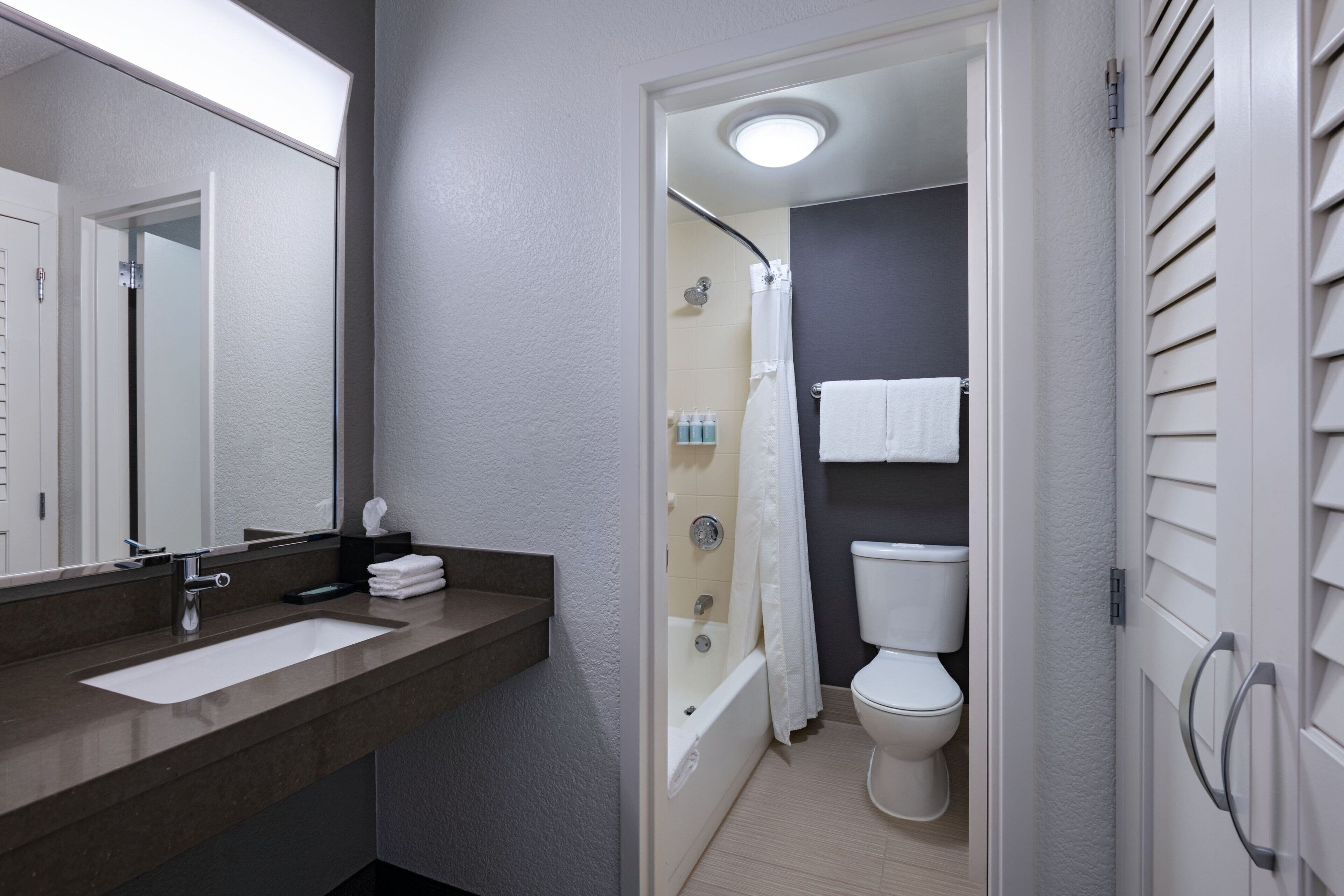 combined shower/bathtub, free toiletries, hair dryer, towels