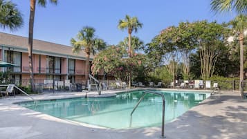 Outdoor pool, sun loungers