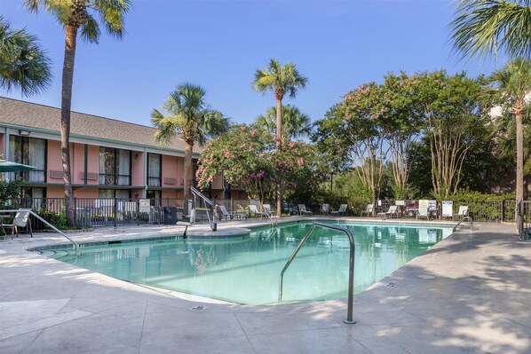 Outdoor pool, sun loungers