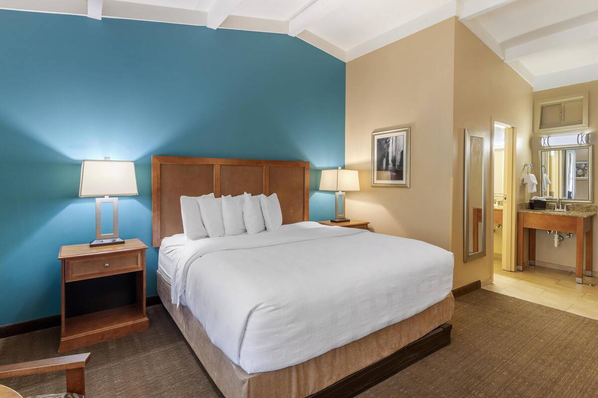 Kamar Standar, 1 Tempat Tidur King, lemari es & microwave, pemandangan kolam renang | Bantalan ekstra lembut, brankas, dan tirai kedap cahaya