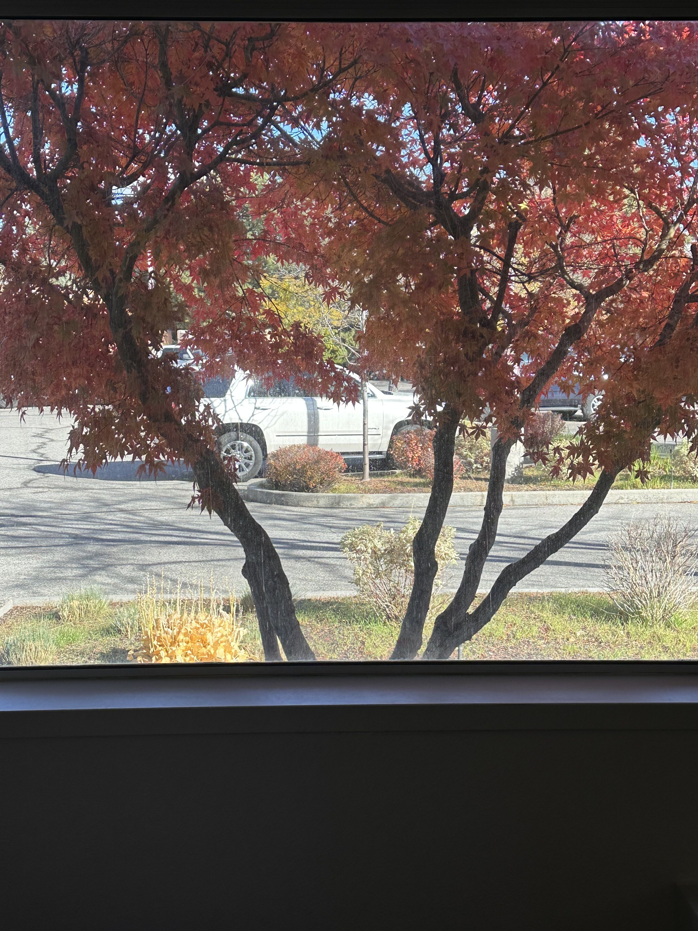 standard room, 2 queen beds, roll-in shower (communications accessible) | view from room