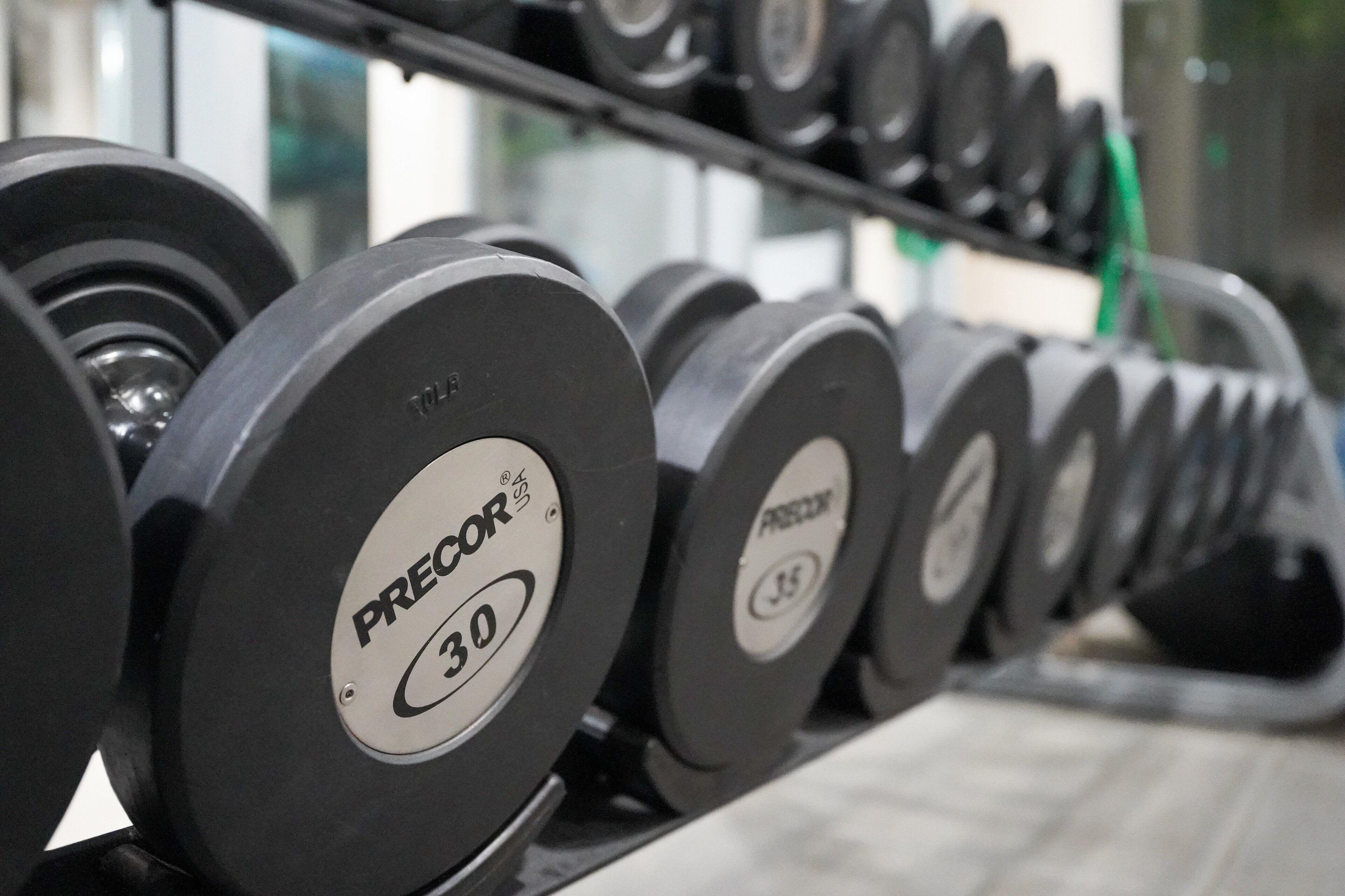 A rack of weight plates labeled "PRECOR 30" in a gym setting.